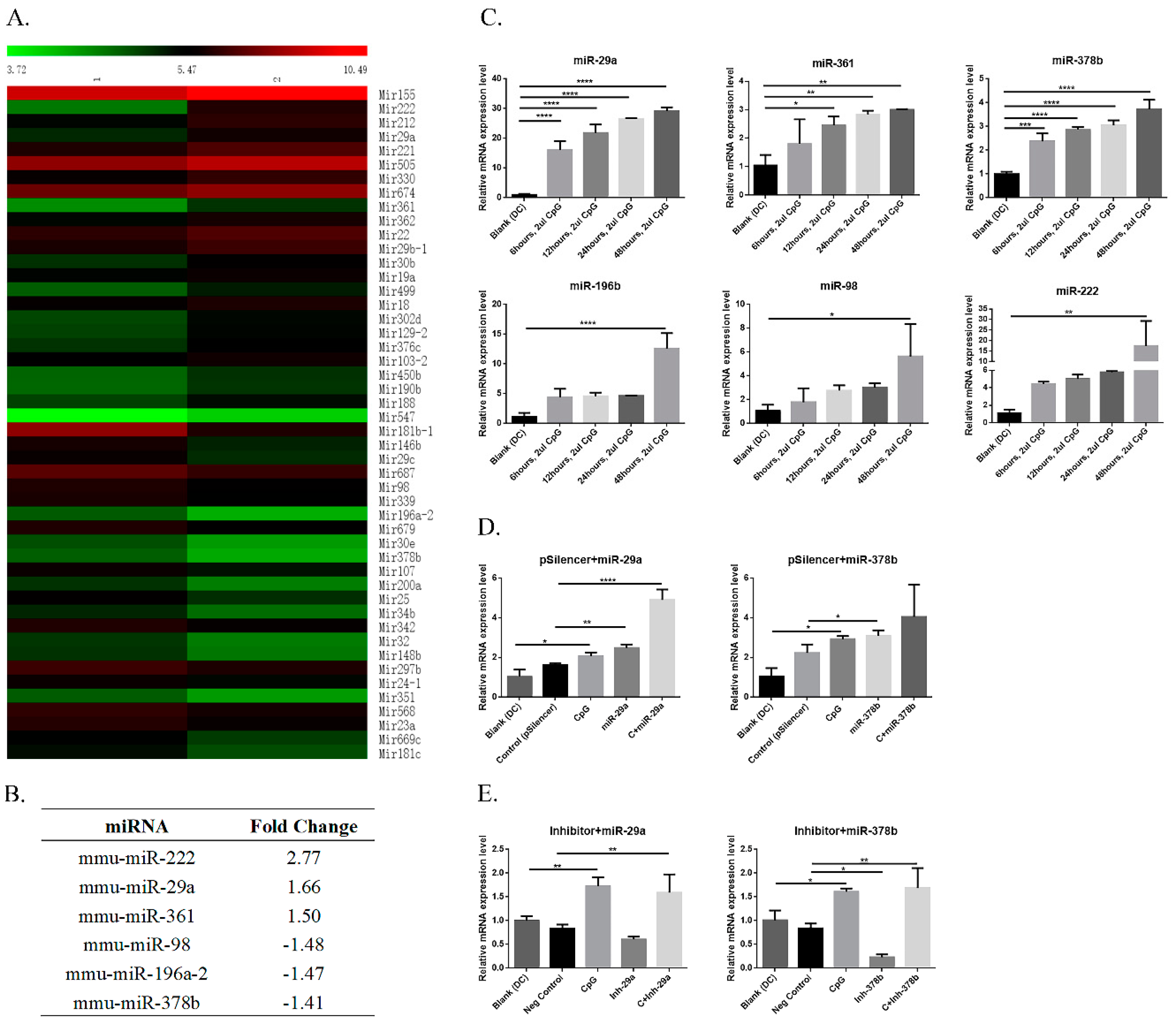 Vaccines 07 00197 g001 Vaccines 07 00197 g001
