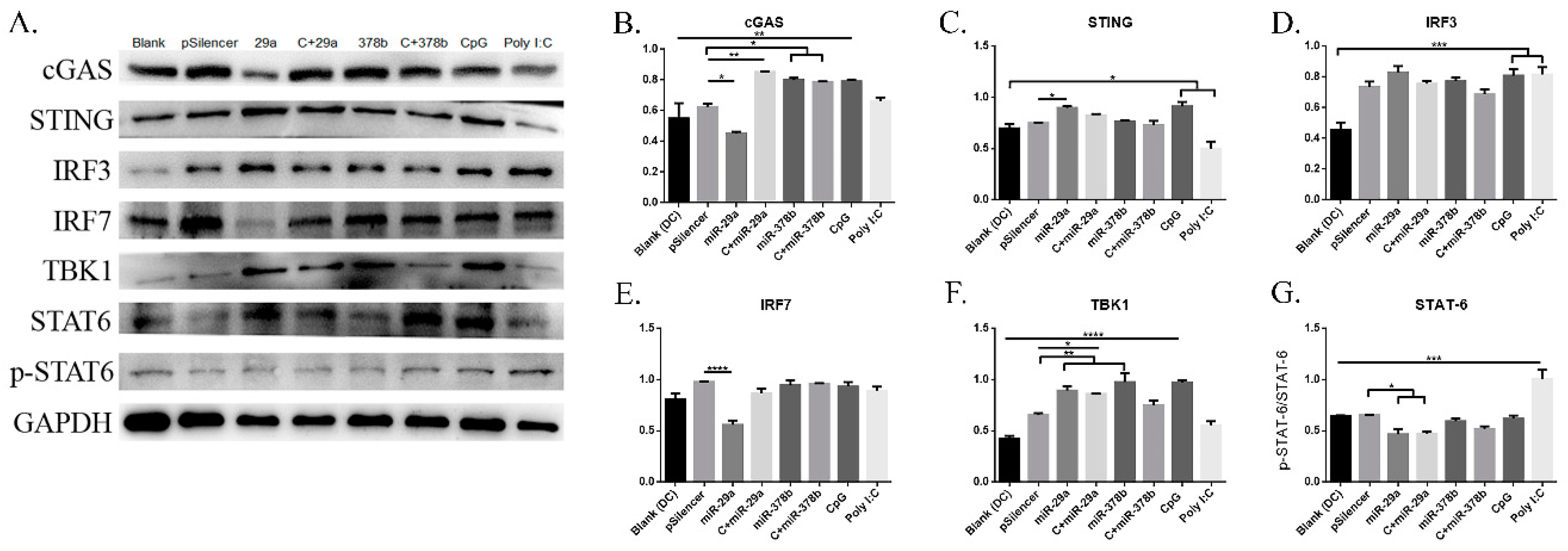 Vaccines 07 00197 g005 Vaccines 07 00197 g005