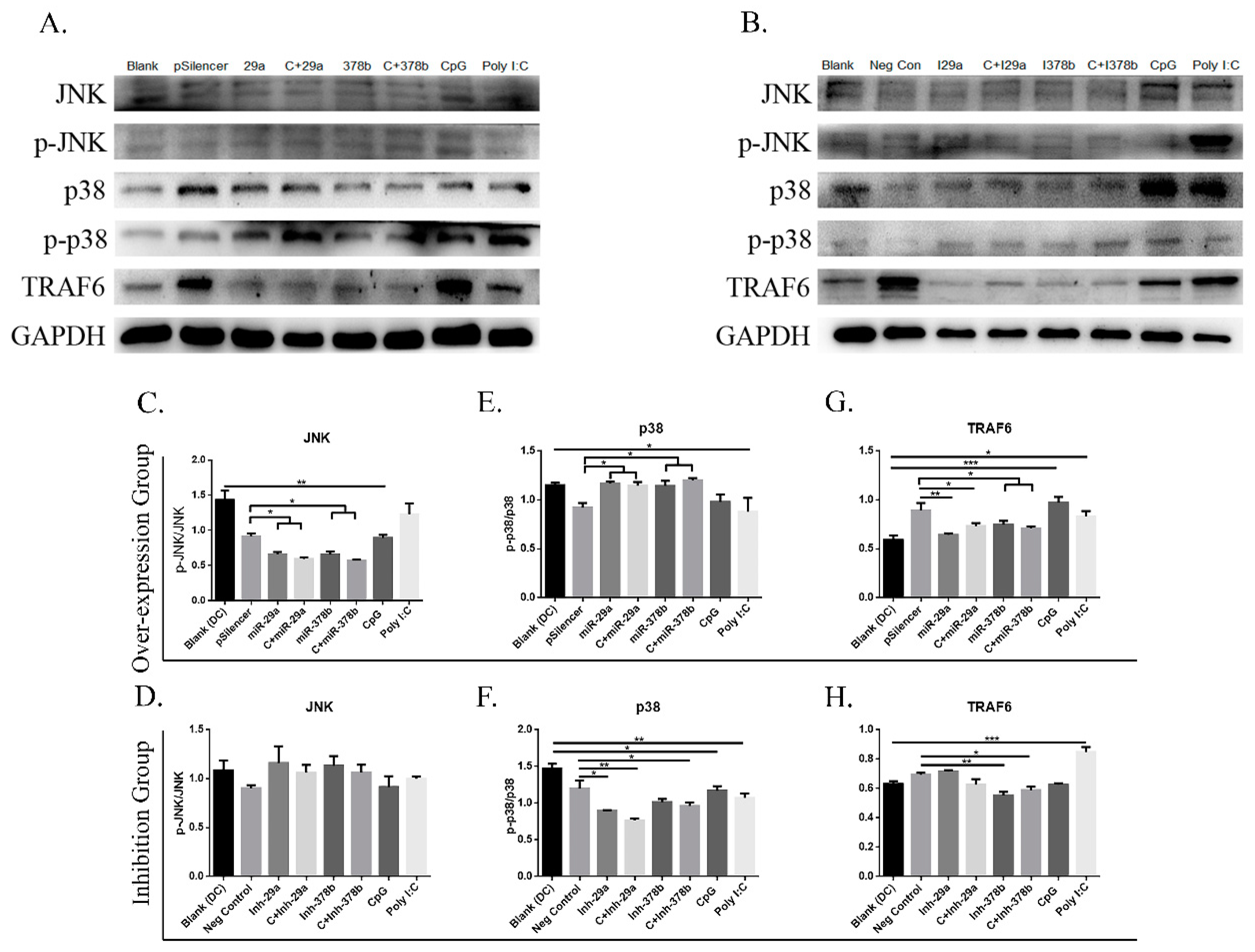 Vaccines 07 00197 g006 Vaccines 07 00197 g006
