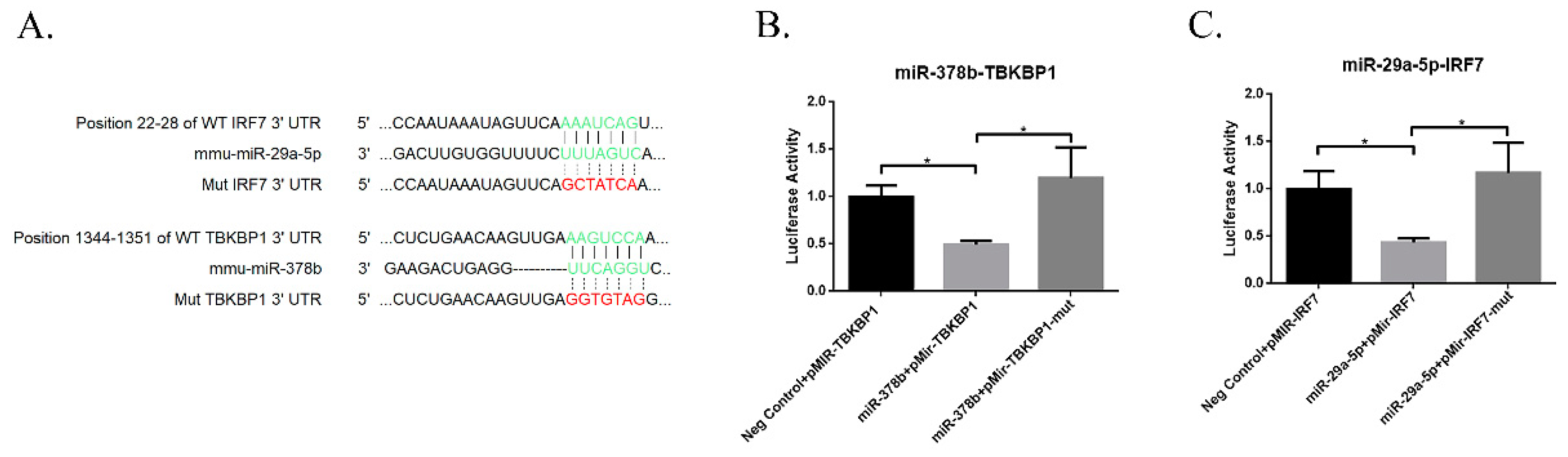 Vaccines 07 00197 g008 Vaccines 07 00197 g008