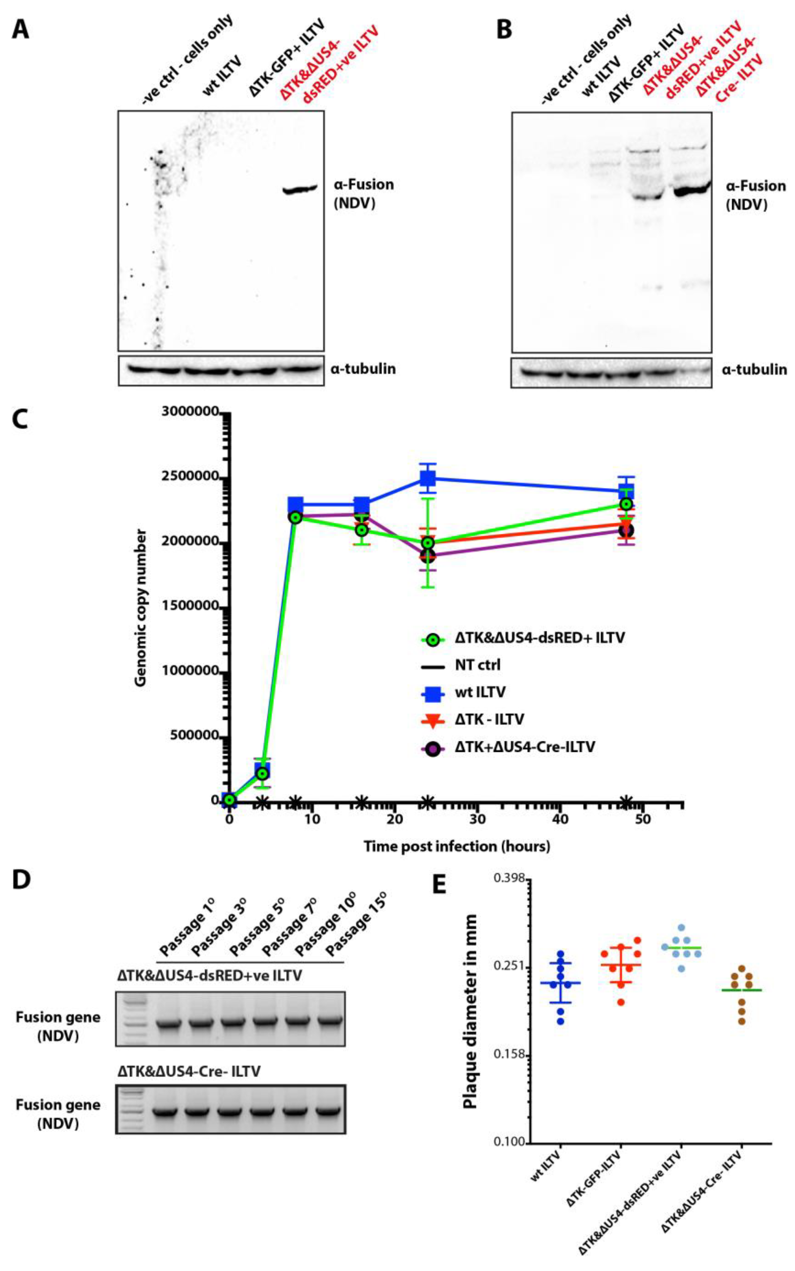 Vaccines 07 00207 g004