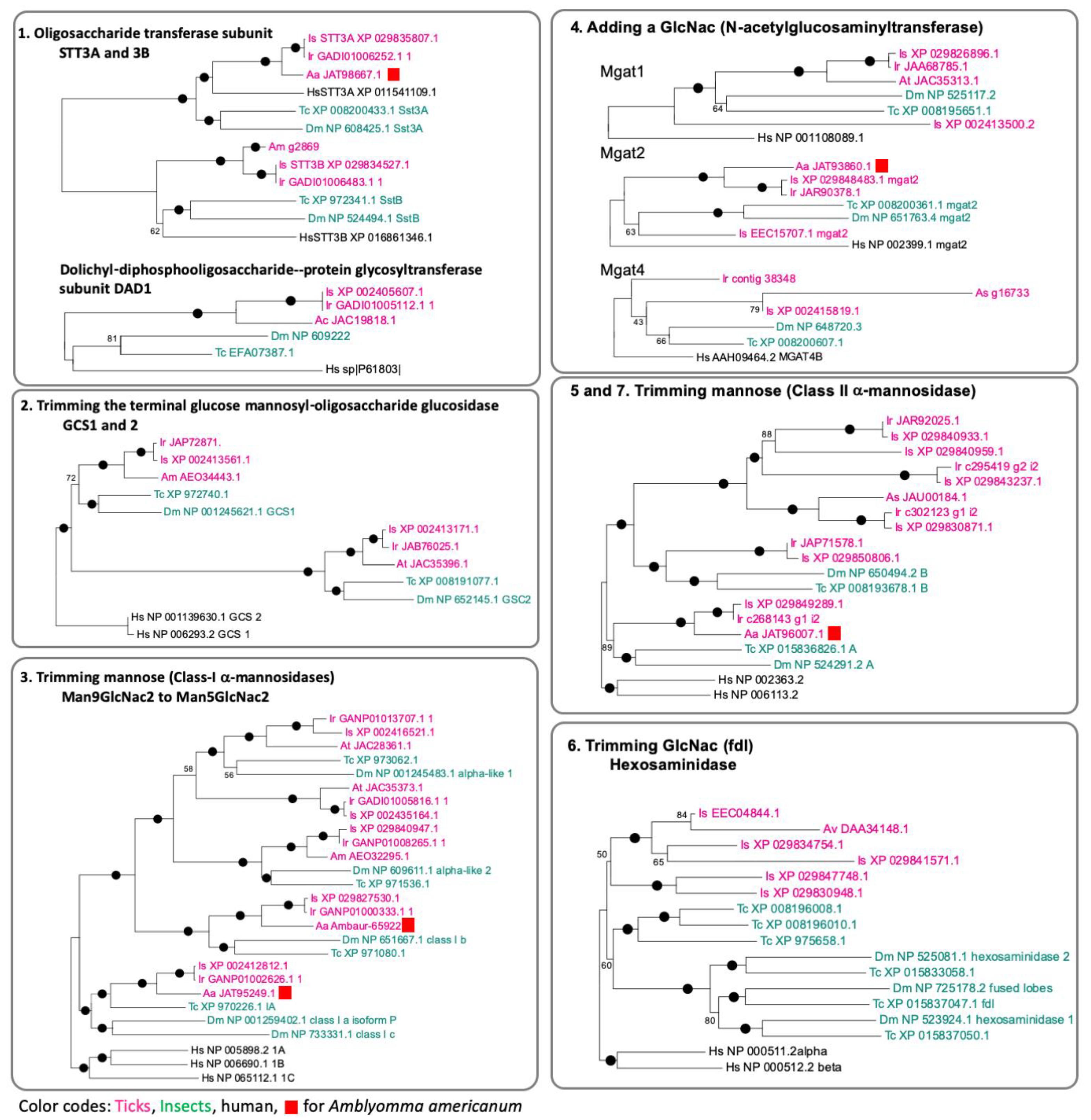 Vaccines 08 00018 g006 Vaccines 08 00018 g006