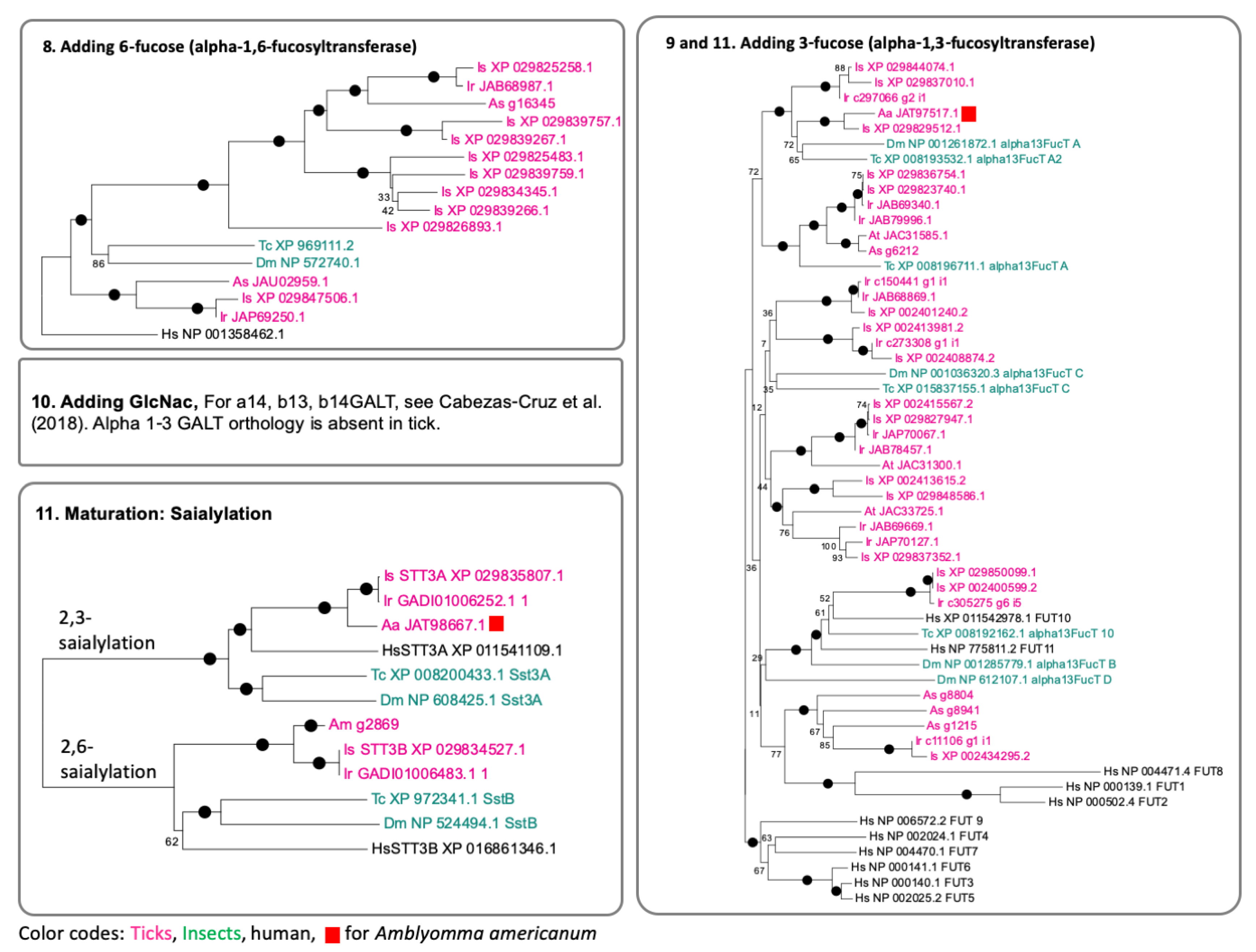 Vaccines 08 00018 g007 Vaccines 08 00018 g007