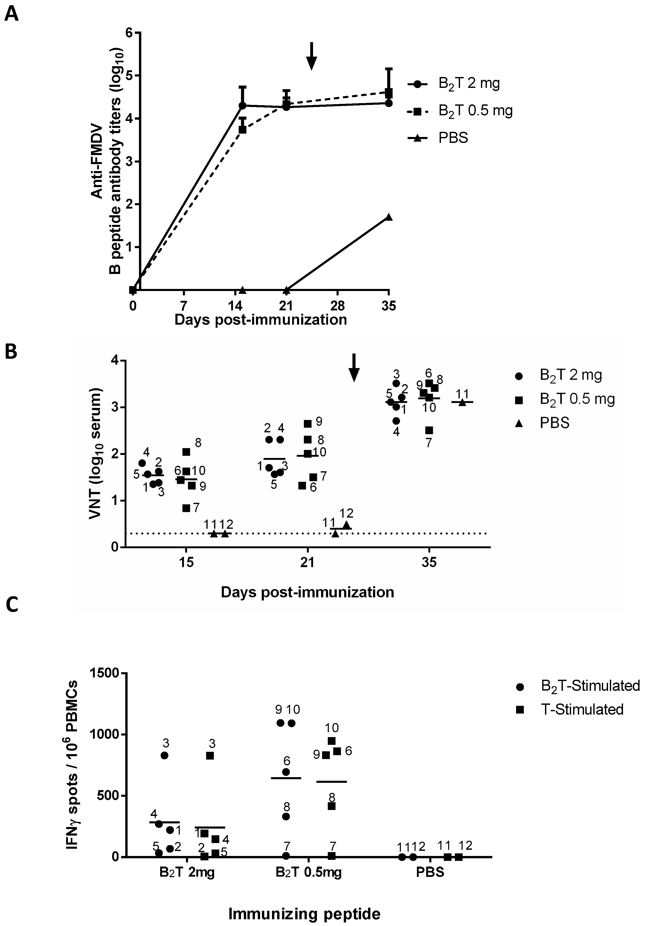 Vaccines 08 00019 g001