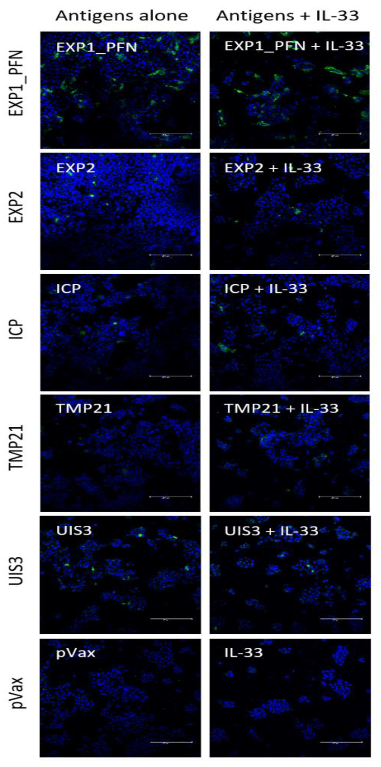 Vaccines 08 00021 g005 Vaccines 08 00021 g005