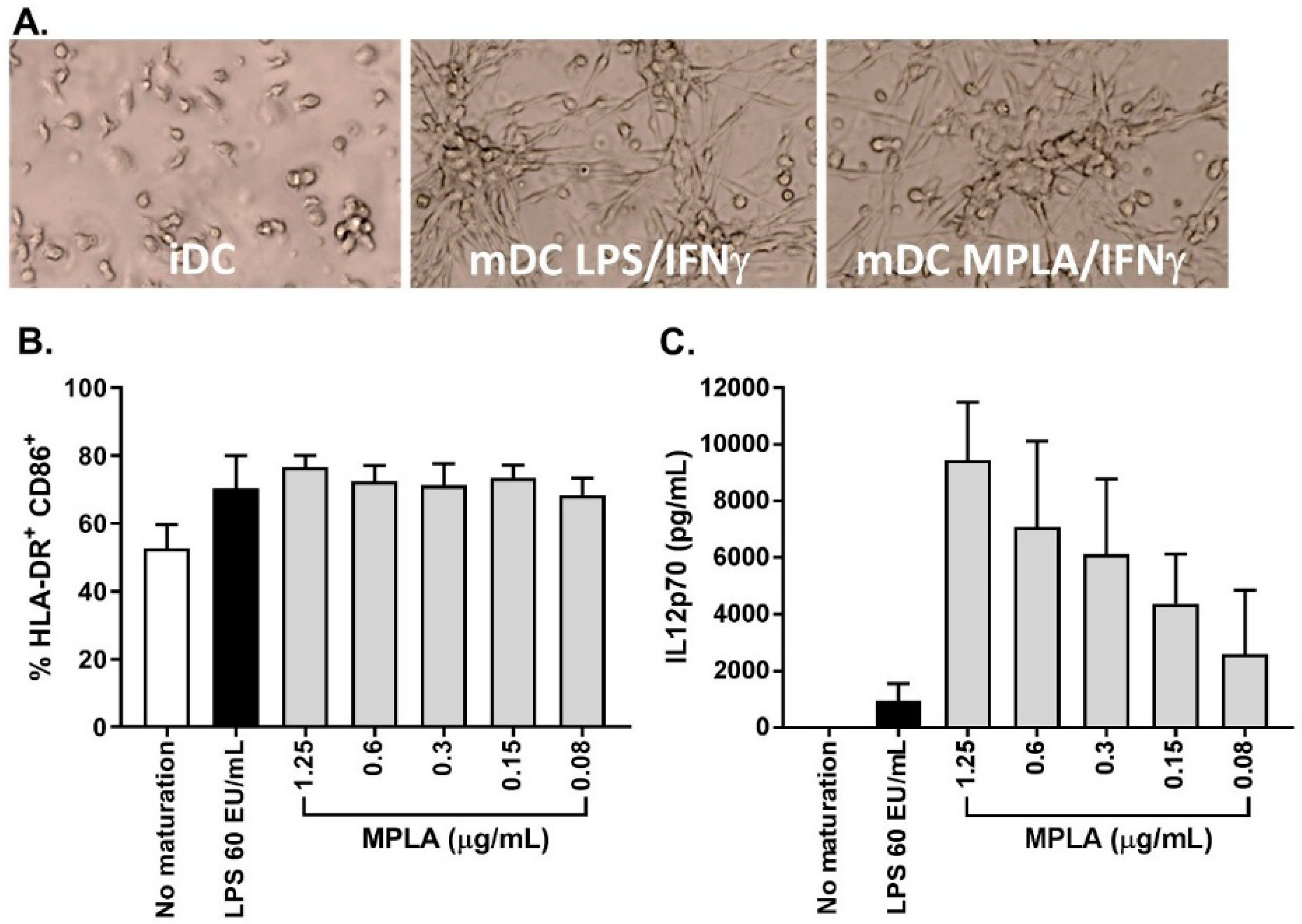 Vaccines 08 00025 g005 Vaccines 08 00025 g005