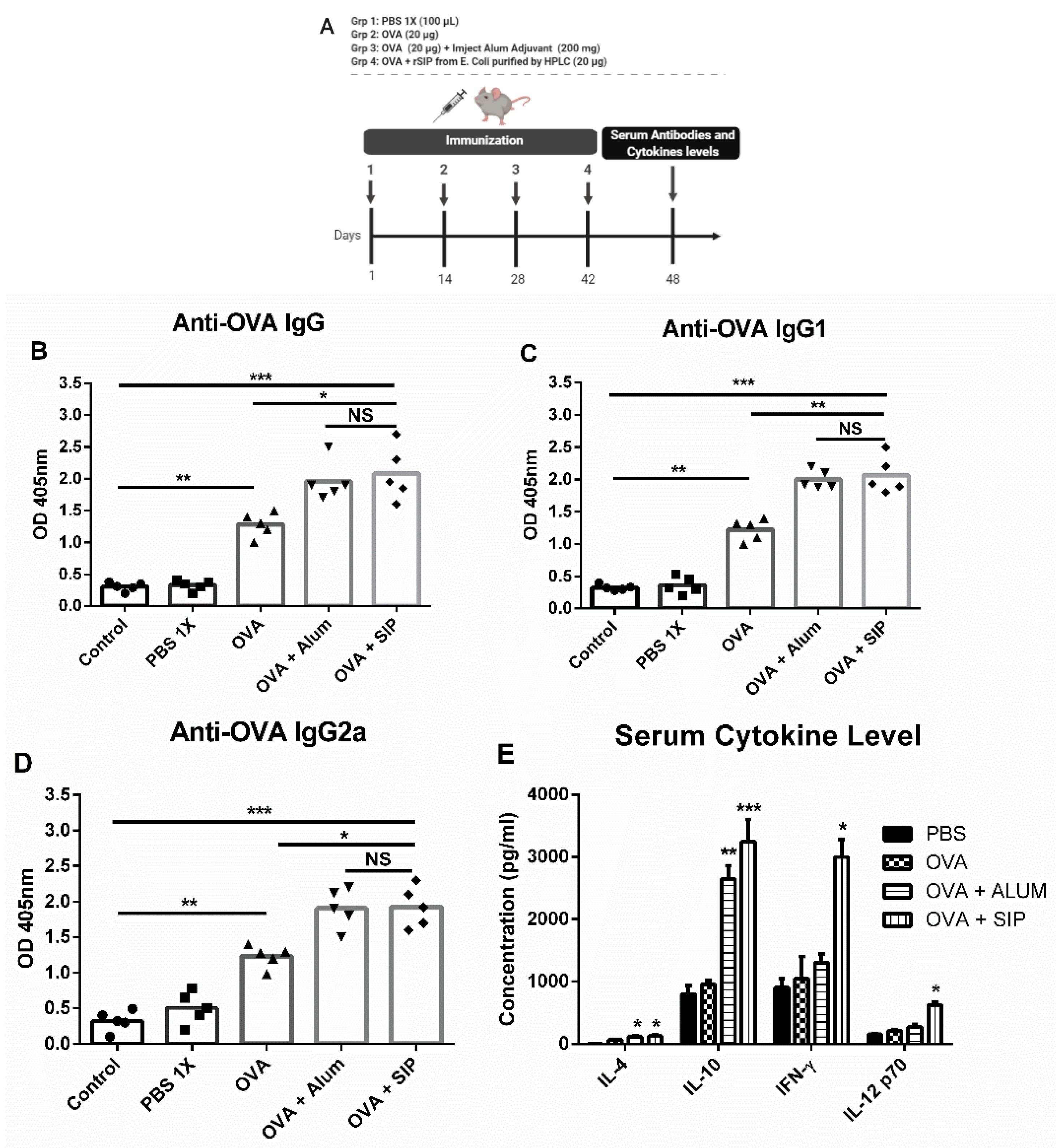 Vaccines 08 00029 g002