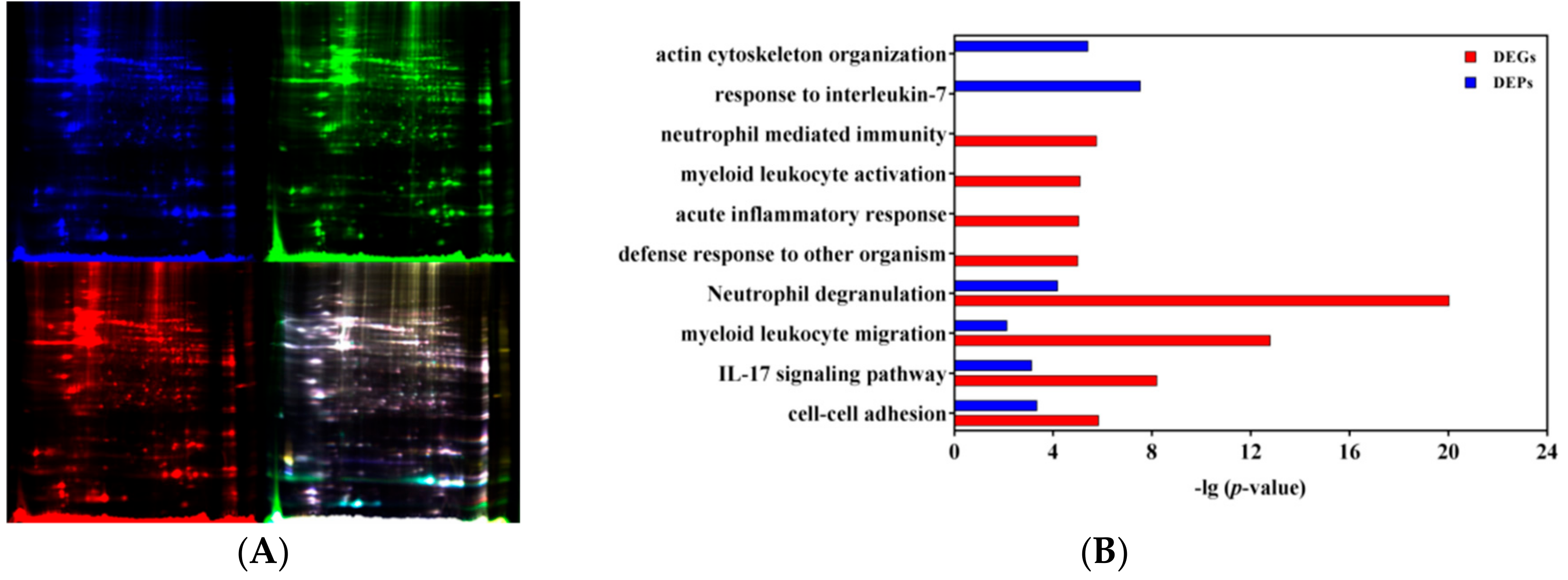 Vaccines 08 00048 g005a