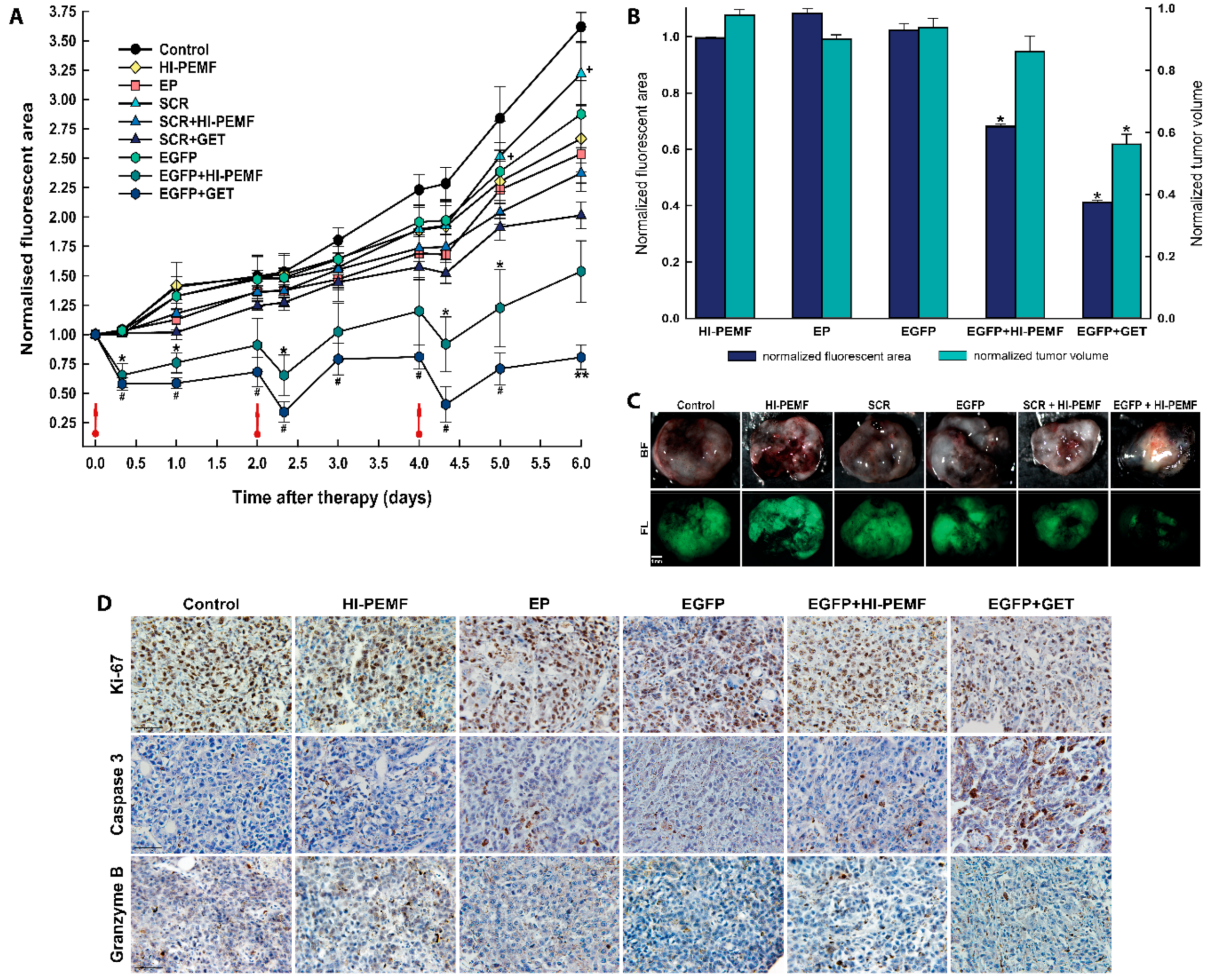 Vaccines 08 00049 g004 Vaccines 08 00049 g004