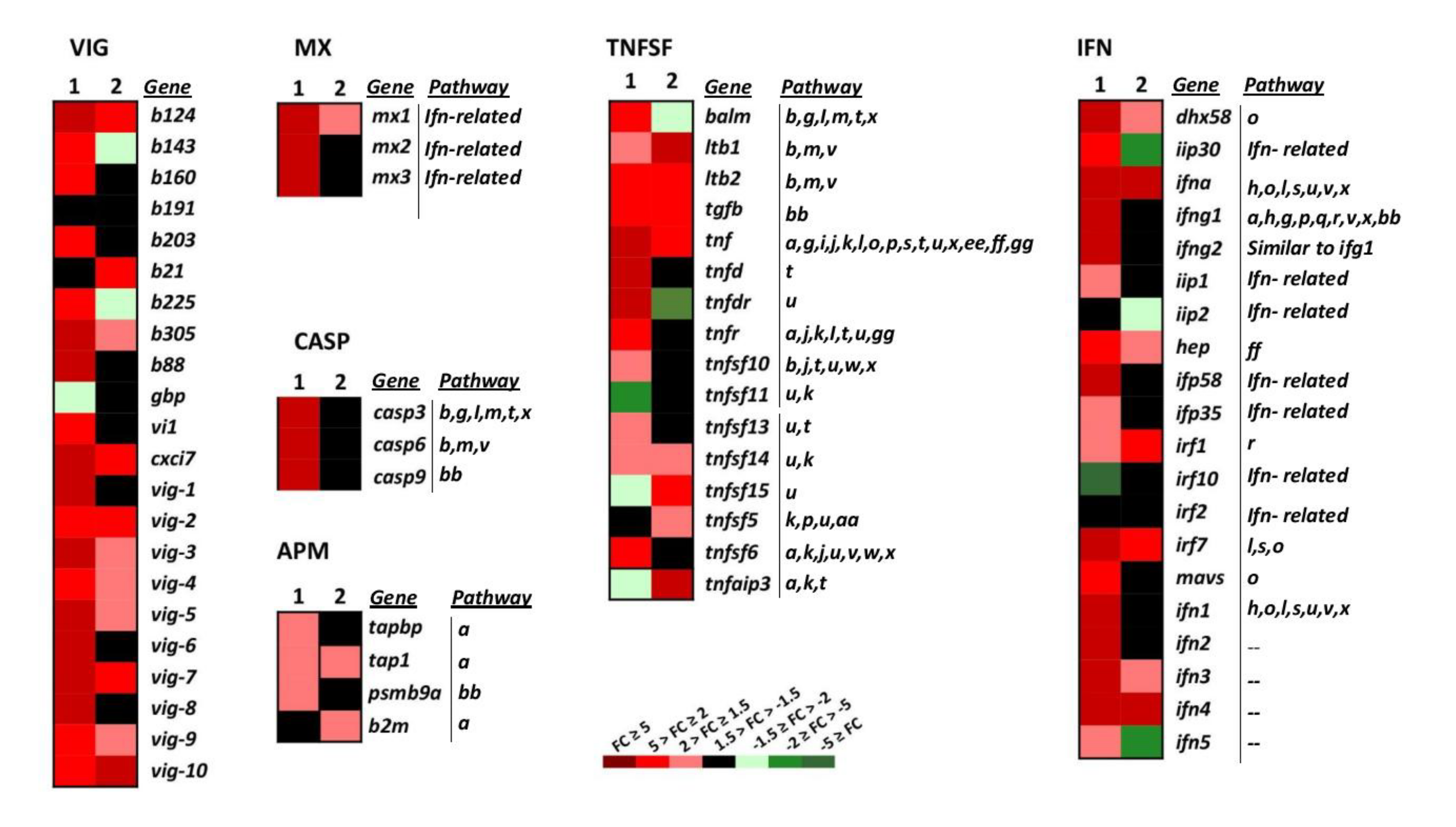 Vaccines 08 00058 g003