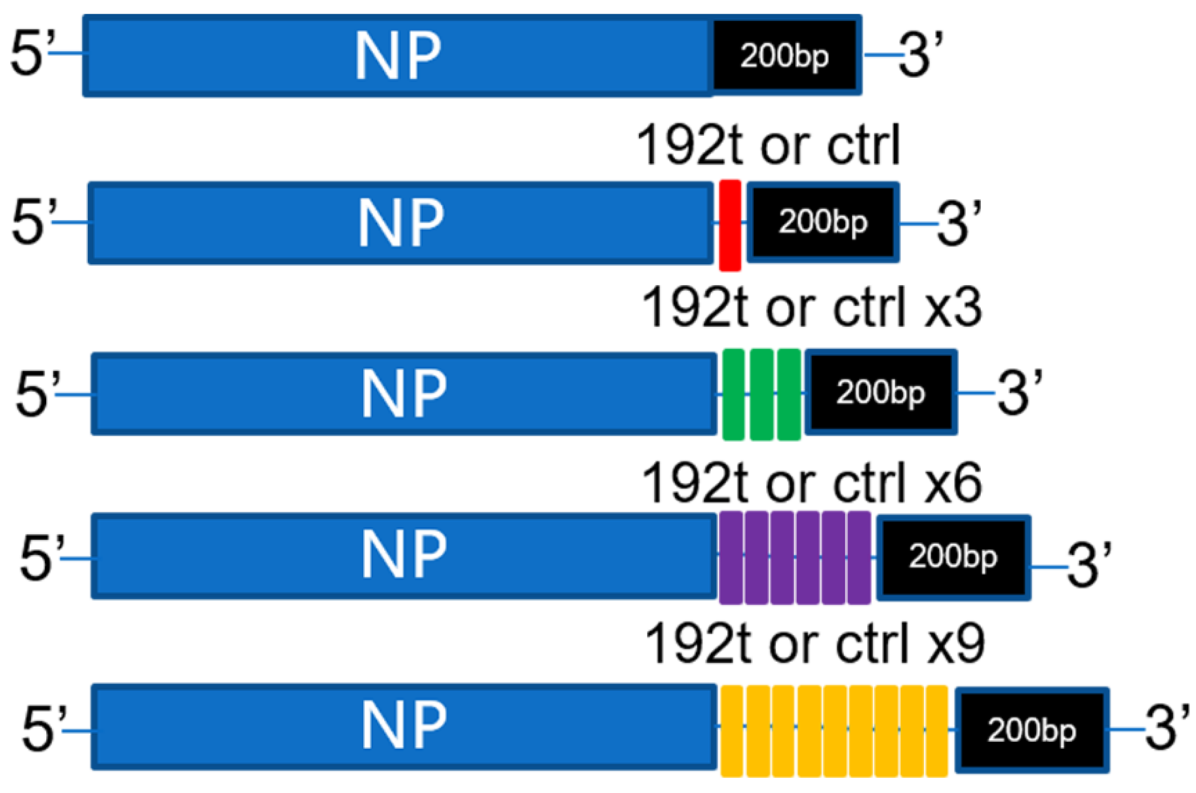 Vaccines 08 00065 g001