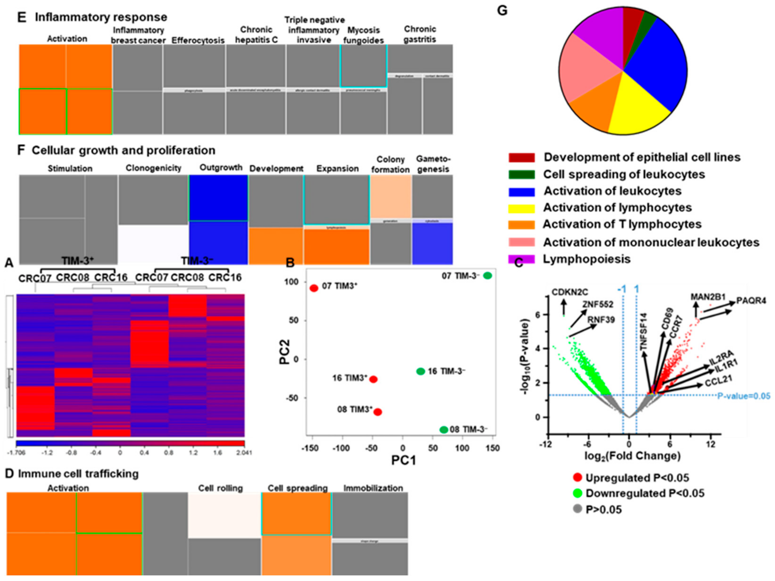 Vaccines 08 00071 g003