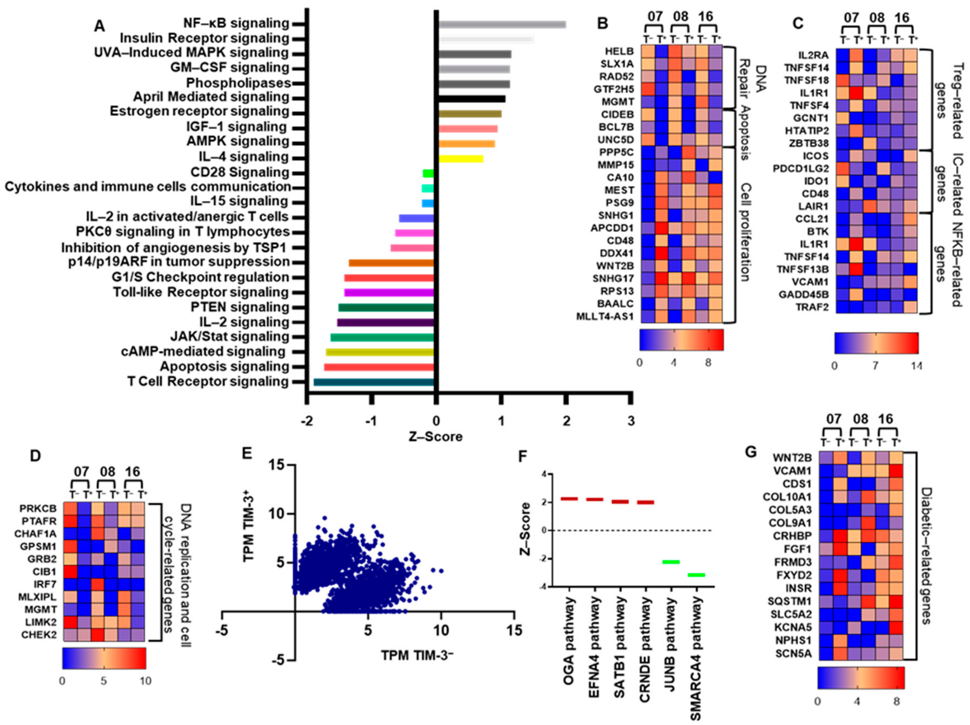 Vaccines 08 00071 g004