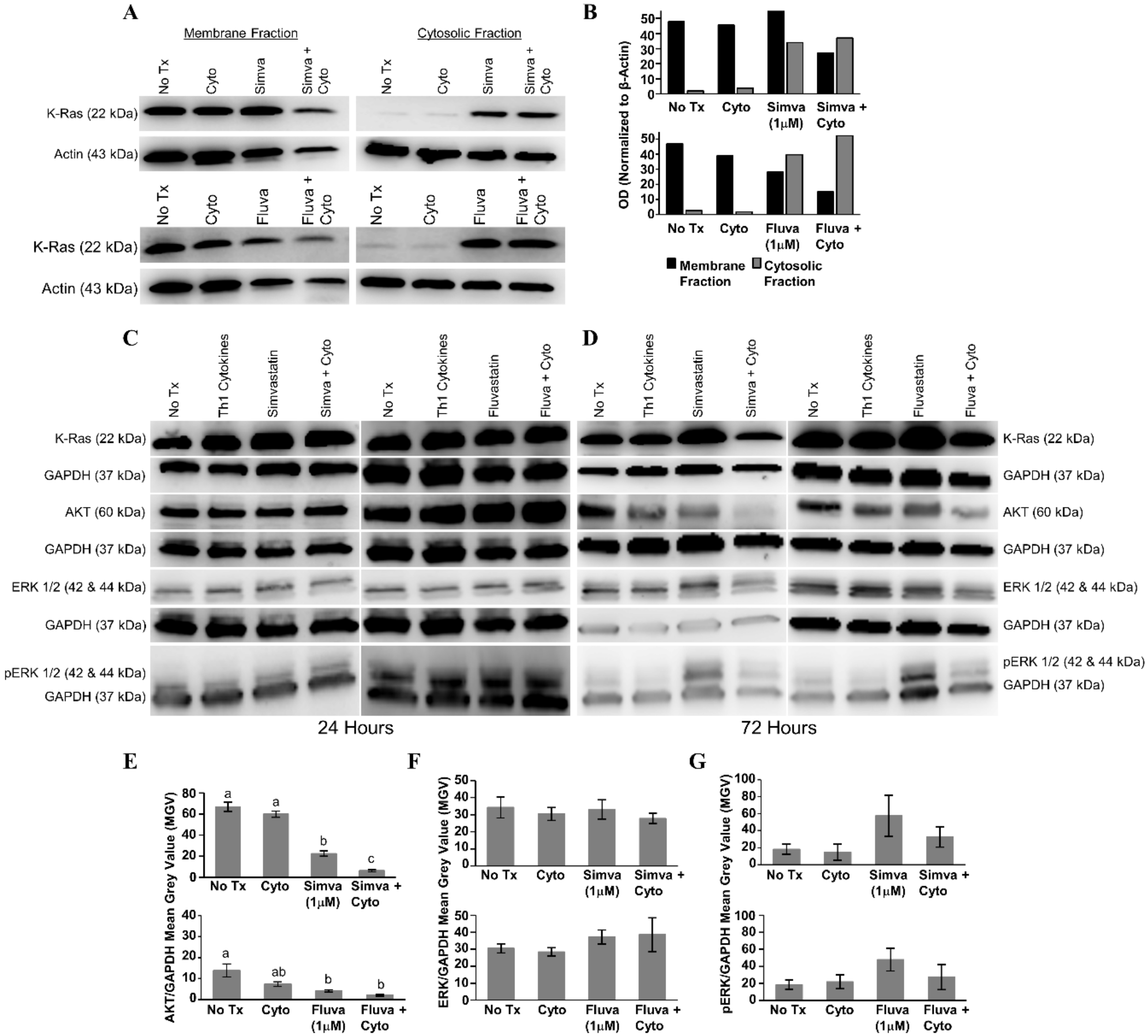 Vaccines 08 00072 g007