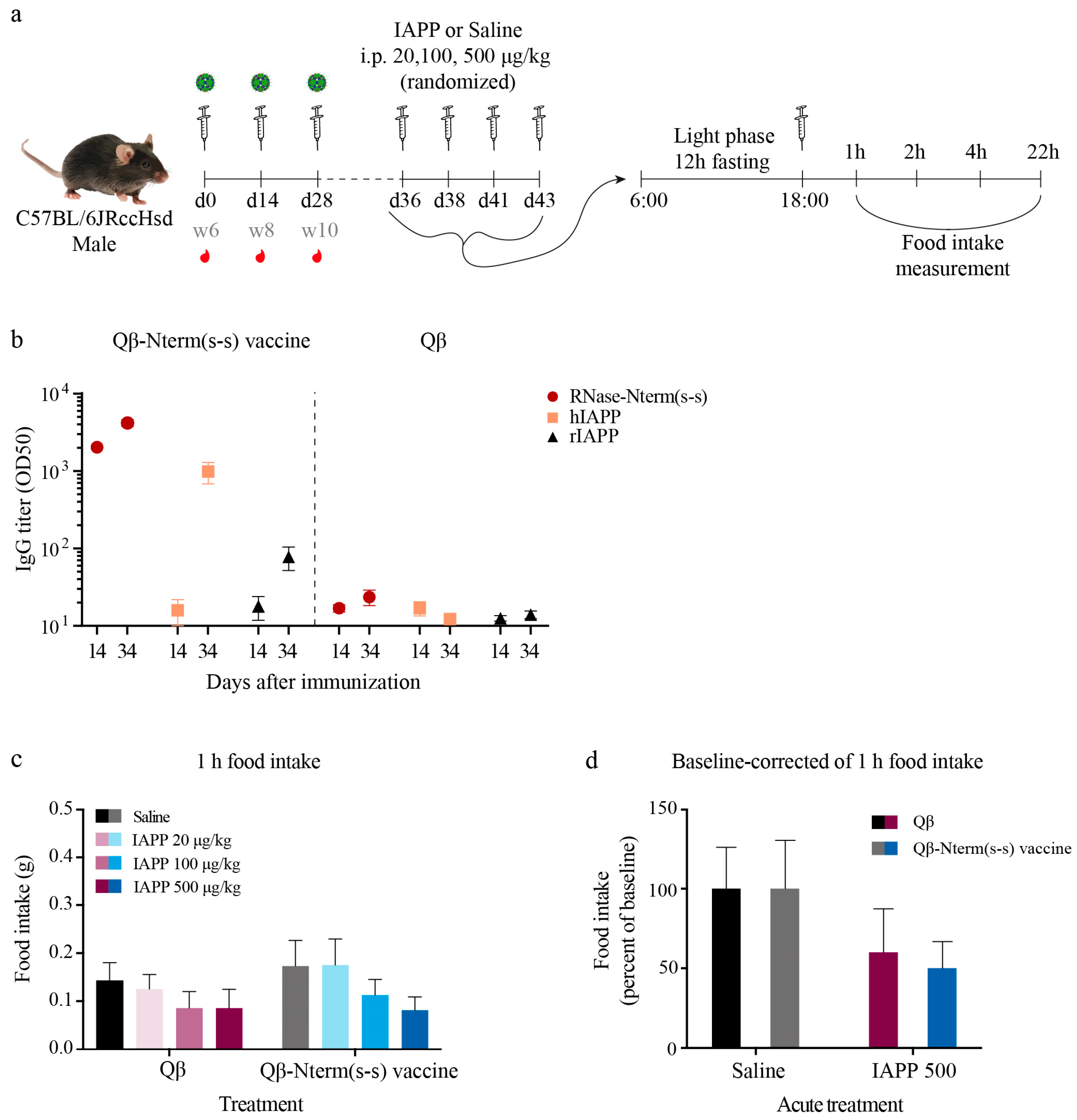 Vaccines 08 00116 g004