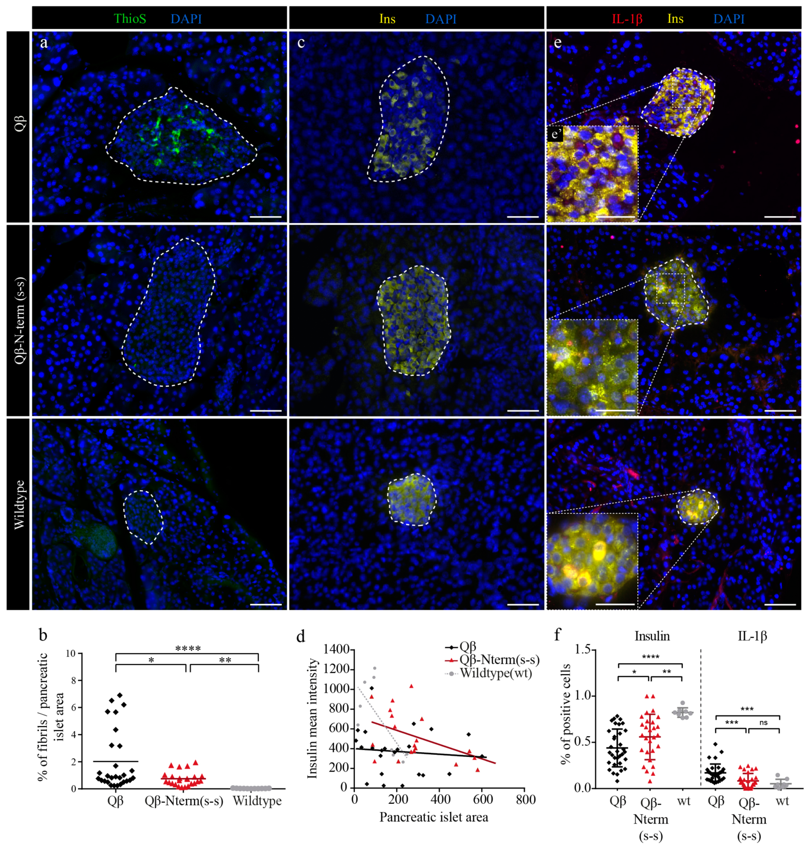 Vaccines 08 00116 g006
