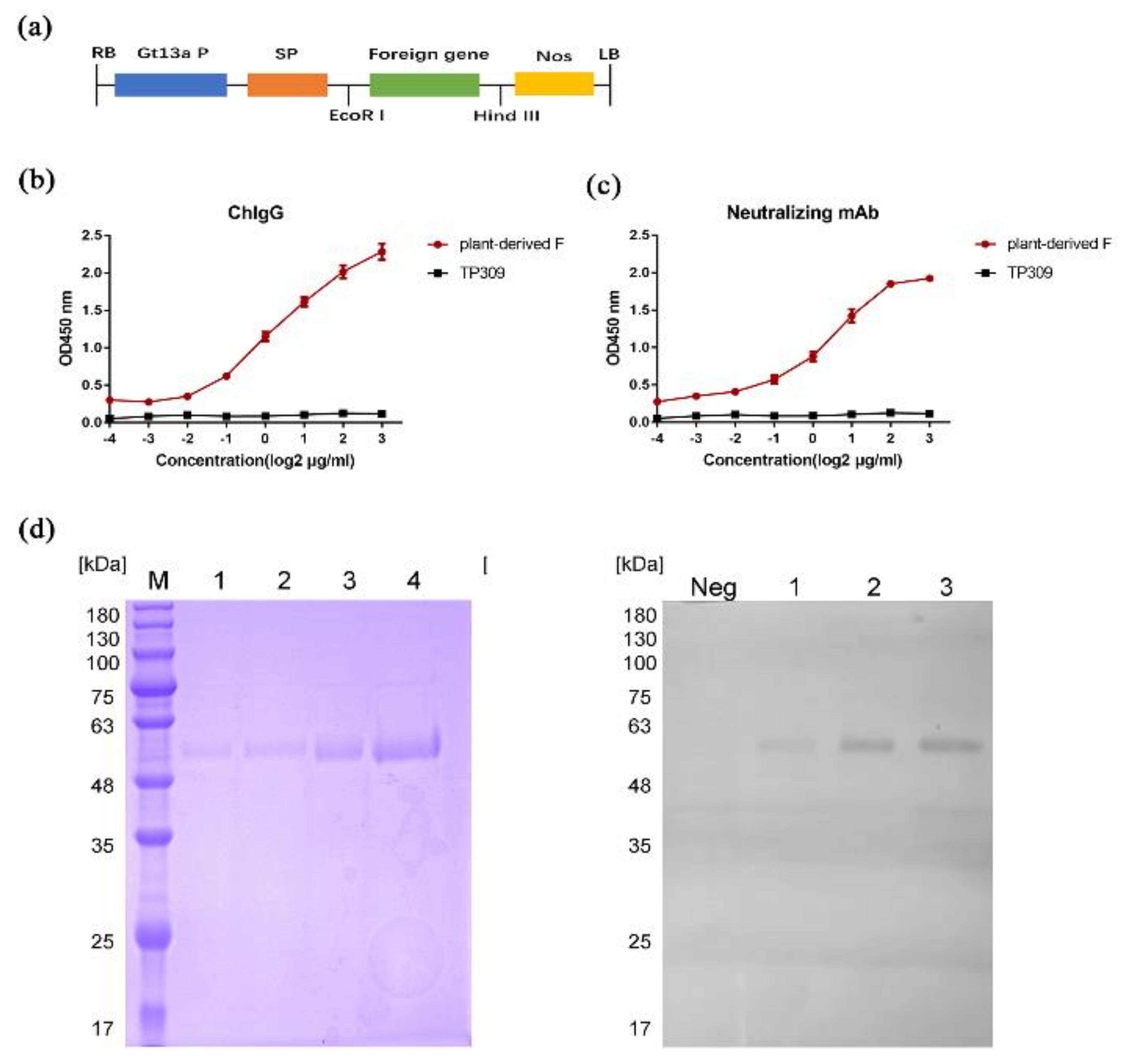Vaccines 08 00122 g001