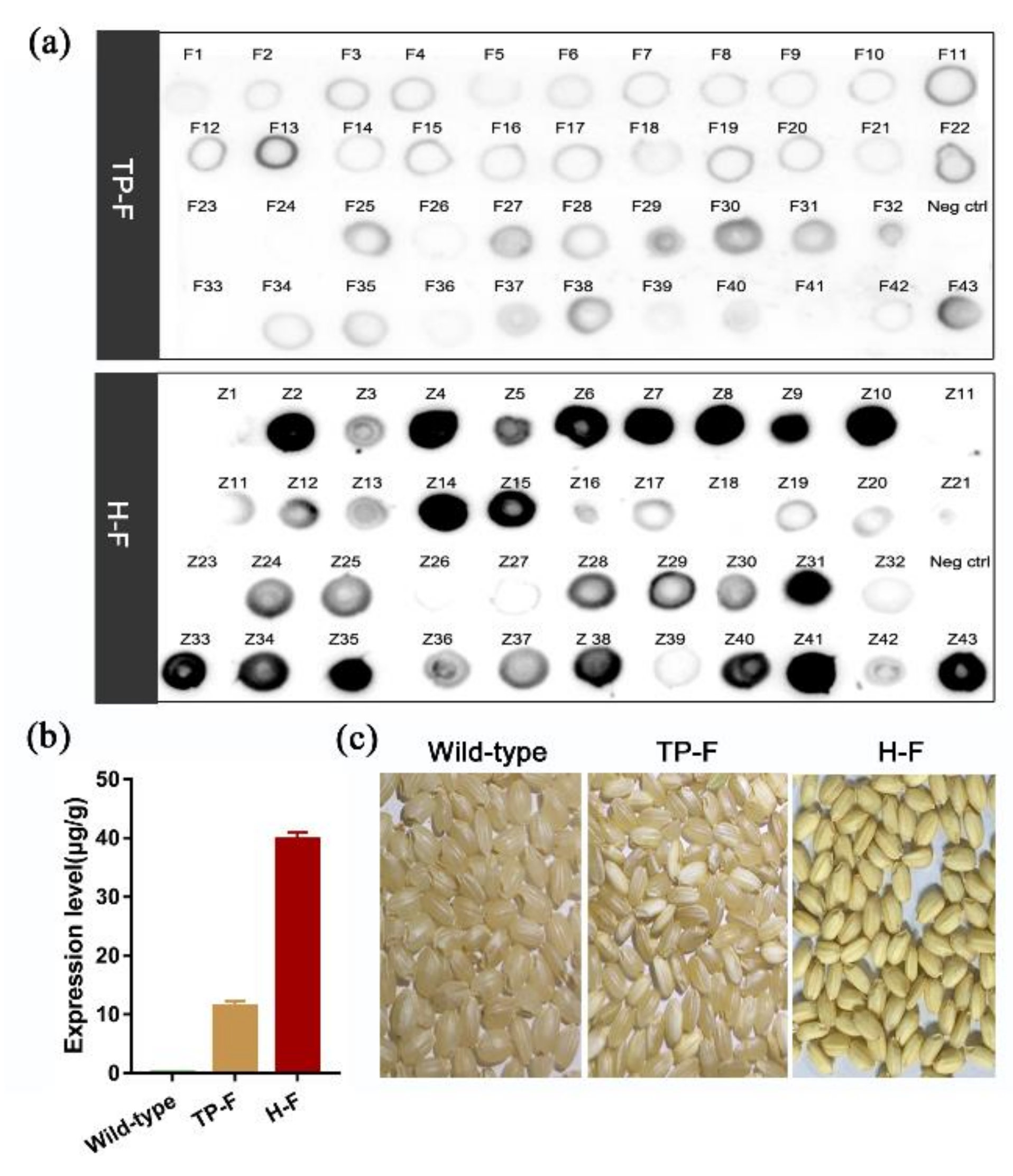 Vaccines 08 00122 g002