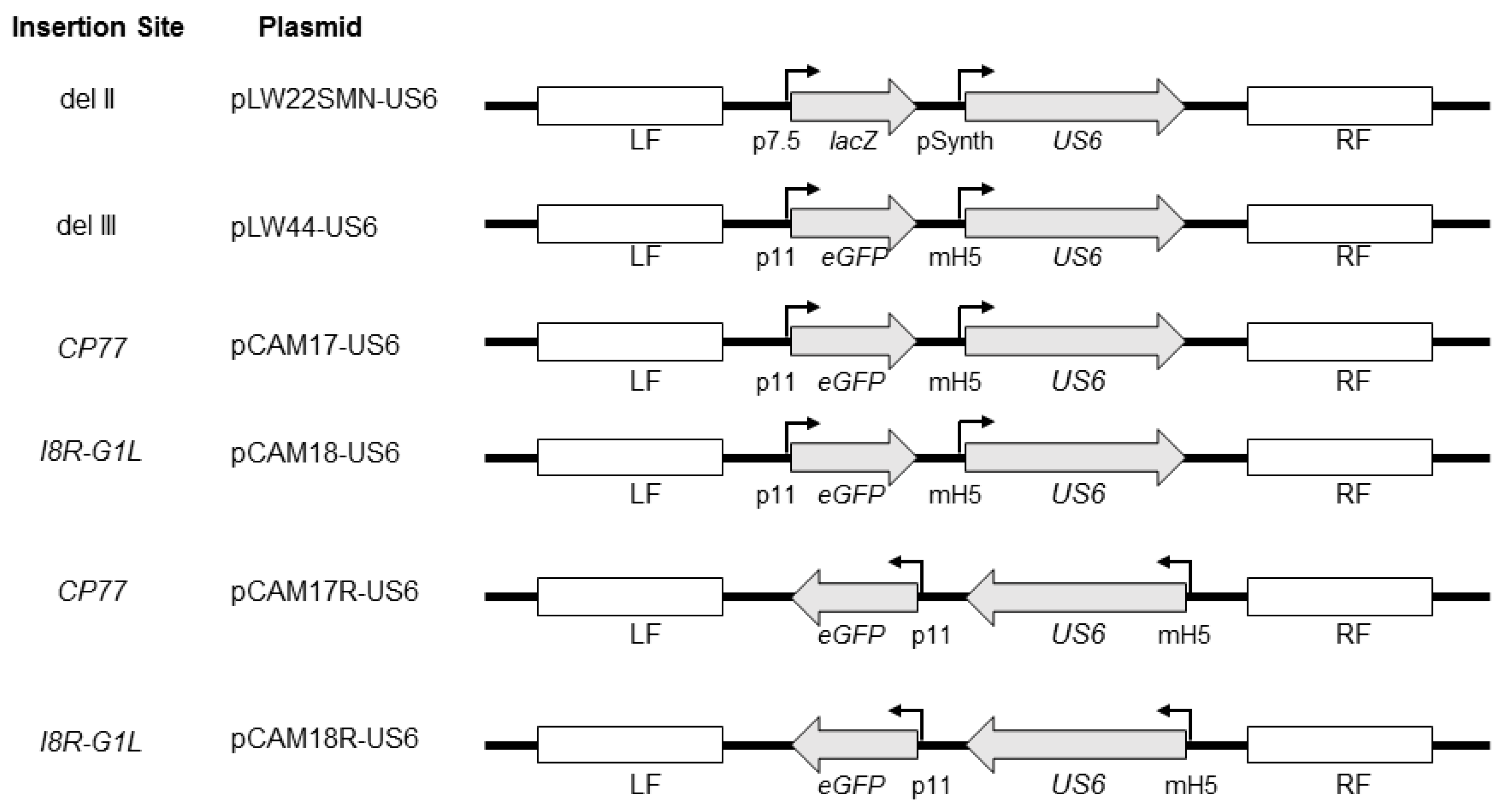 Vaccines 08 00137 g001