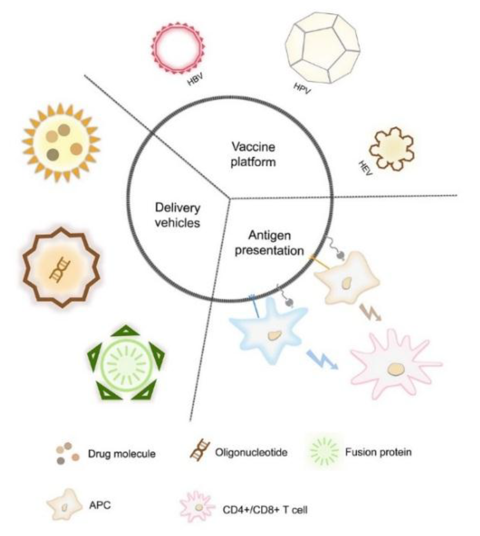 Vaccines 08 00139 g001