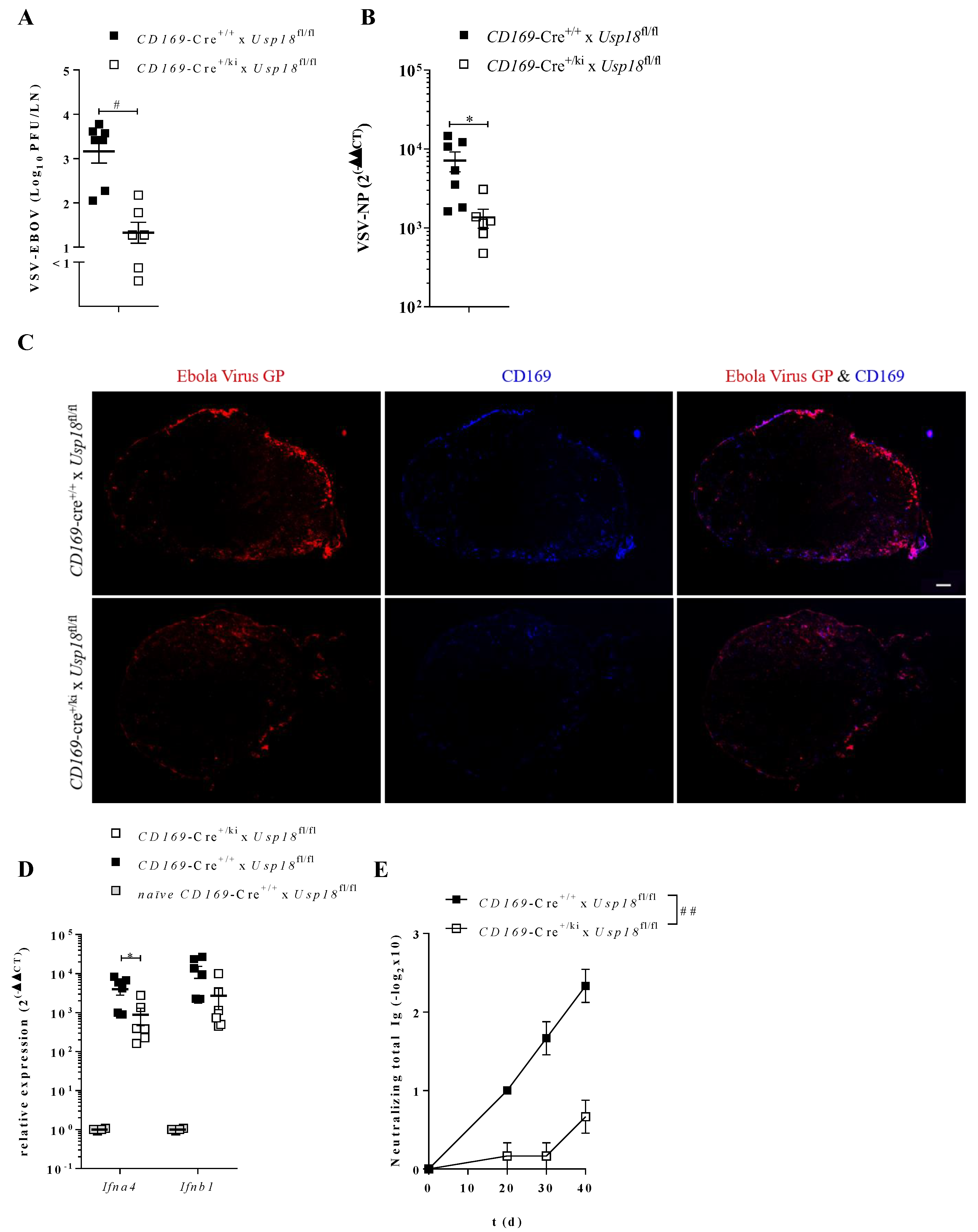 Vaccines 08 00142 g004