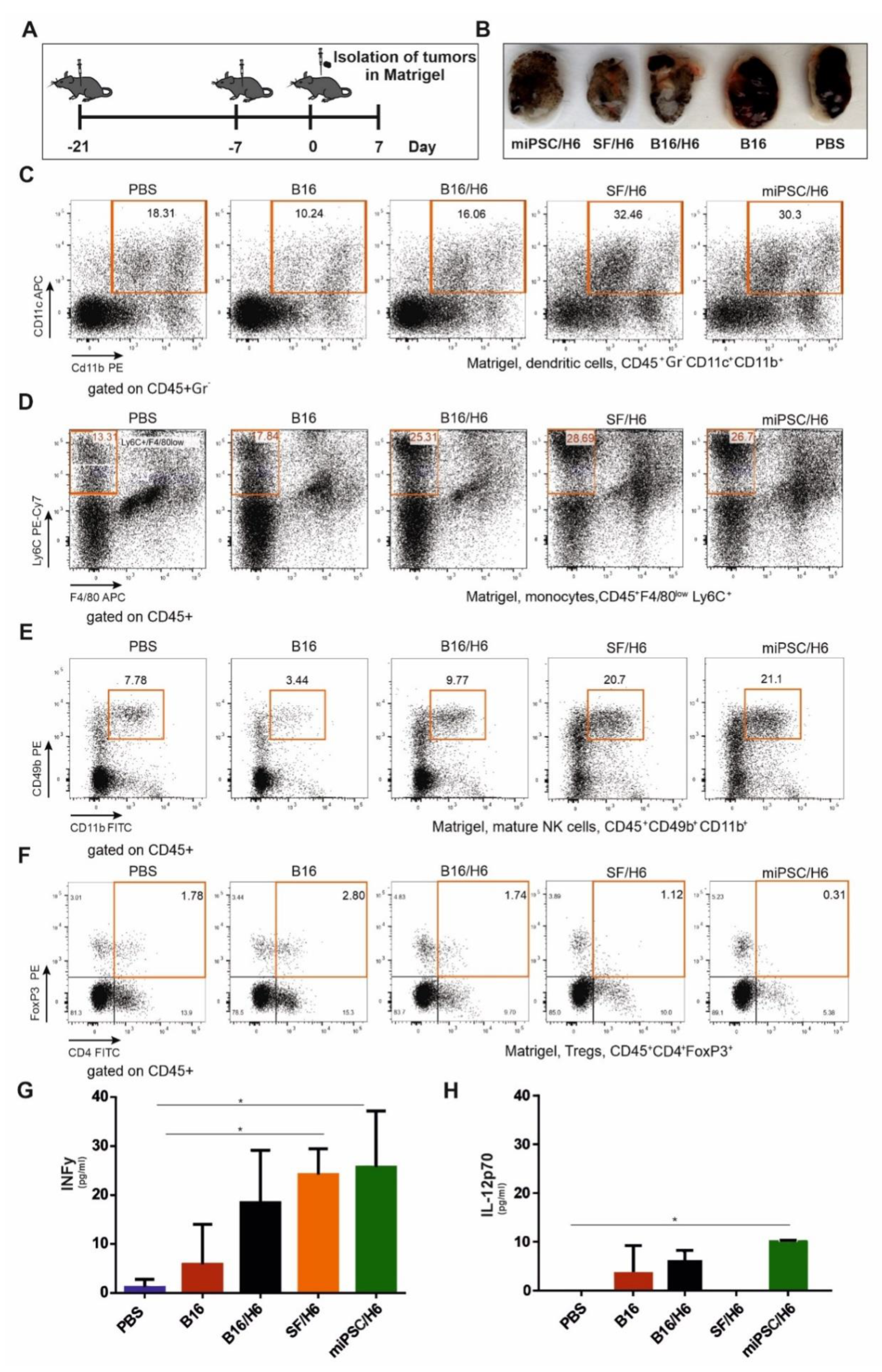 Vaccines 08 00147 g006