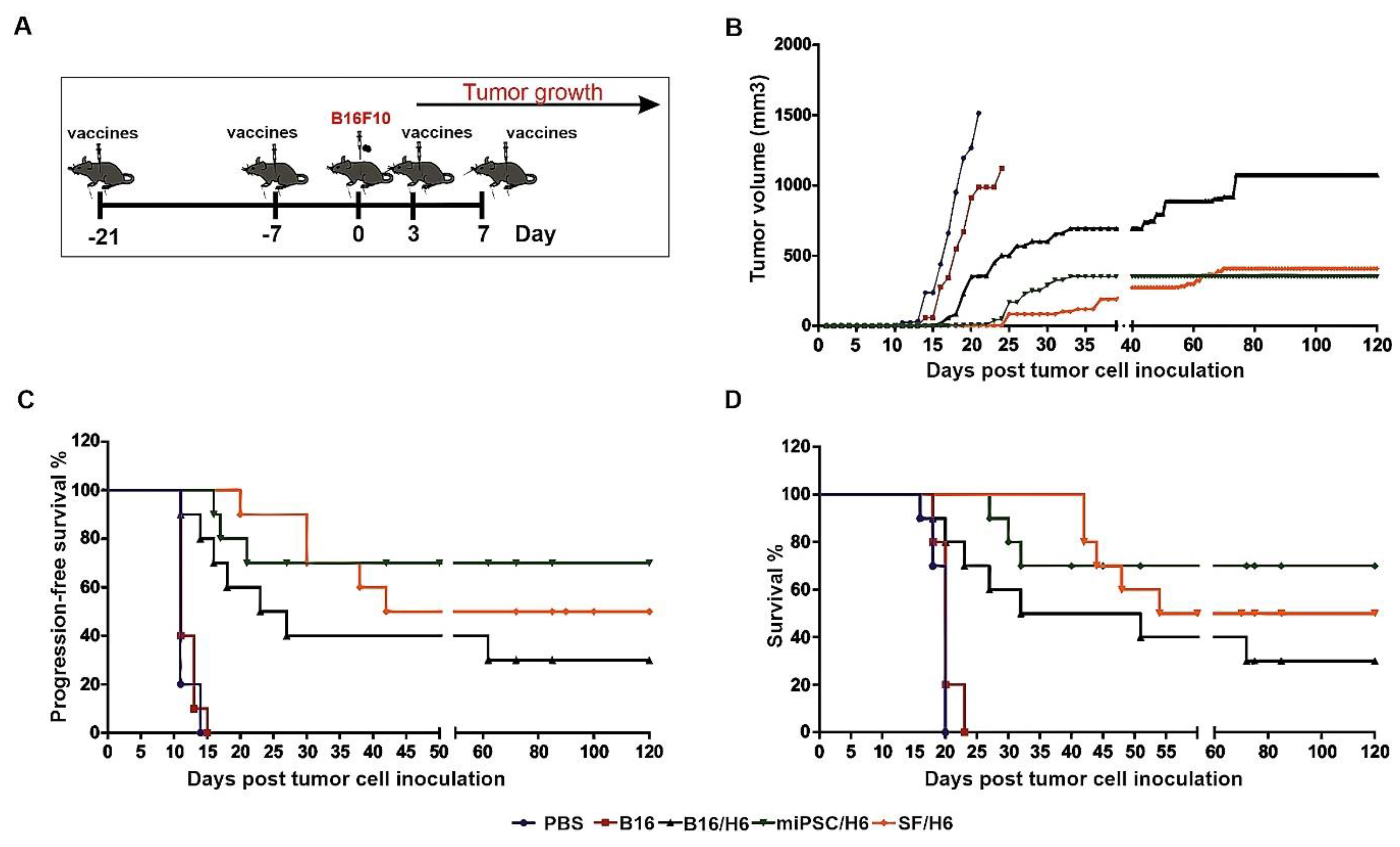 Vaccines 08 00147 g007
