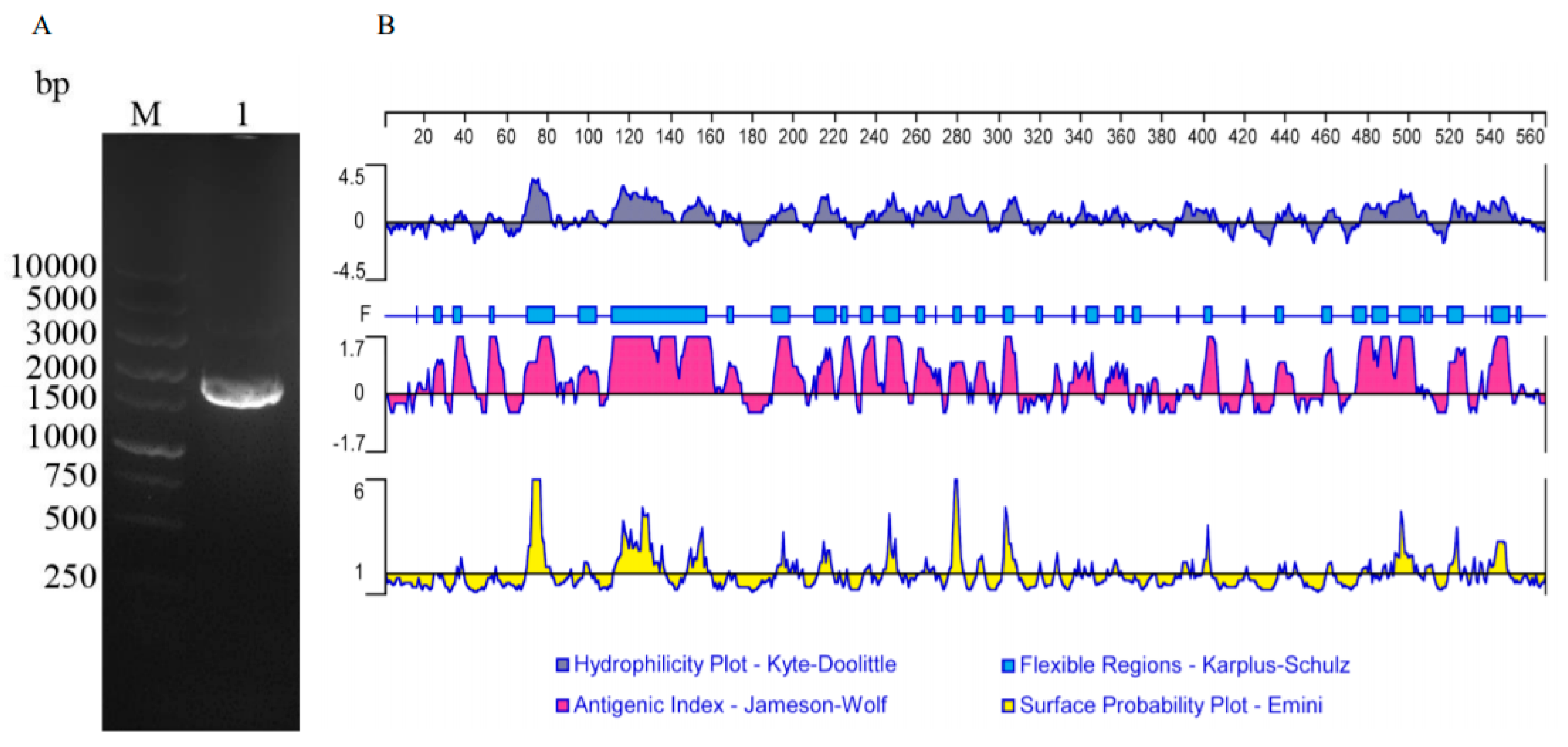 Vaccines 08 00158 g001