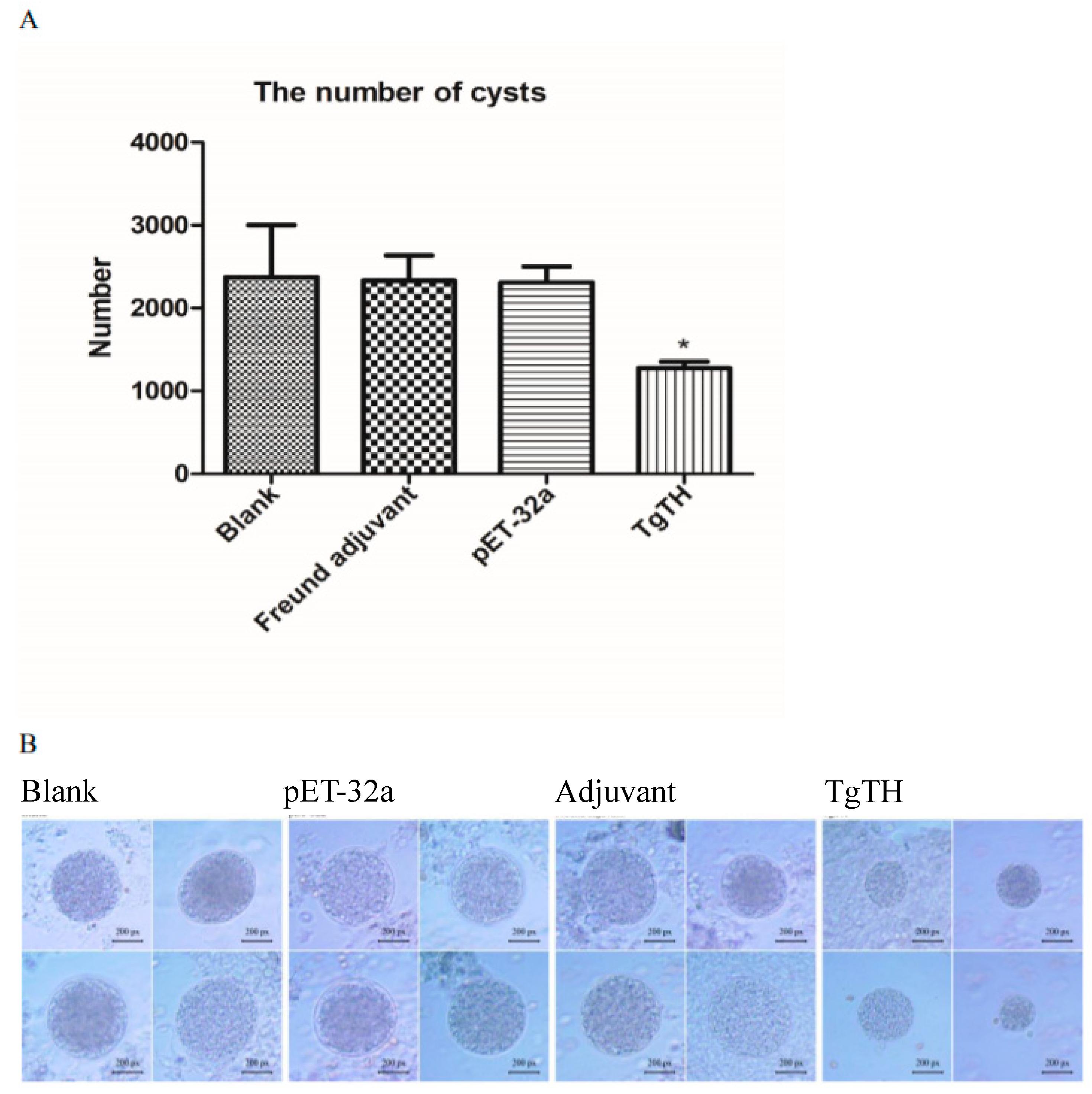 Vaccines 08 00158 g006
