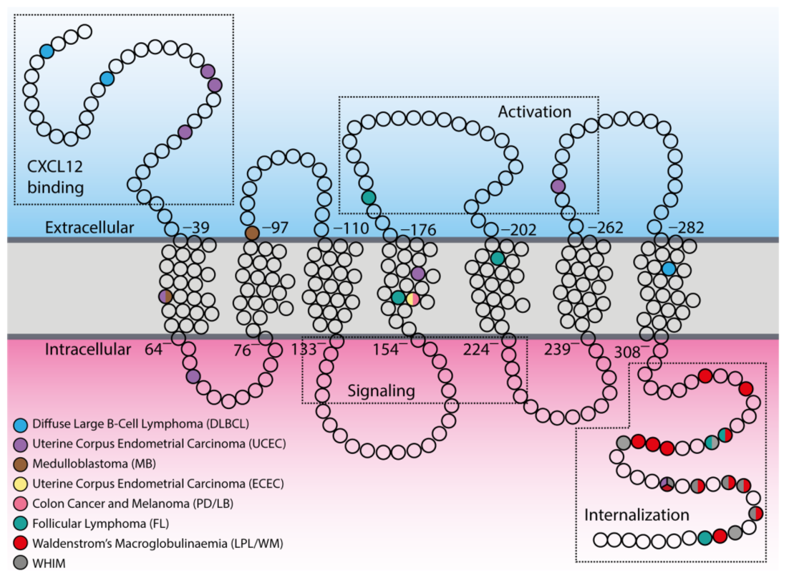Vaccines 08 00164 g002