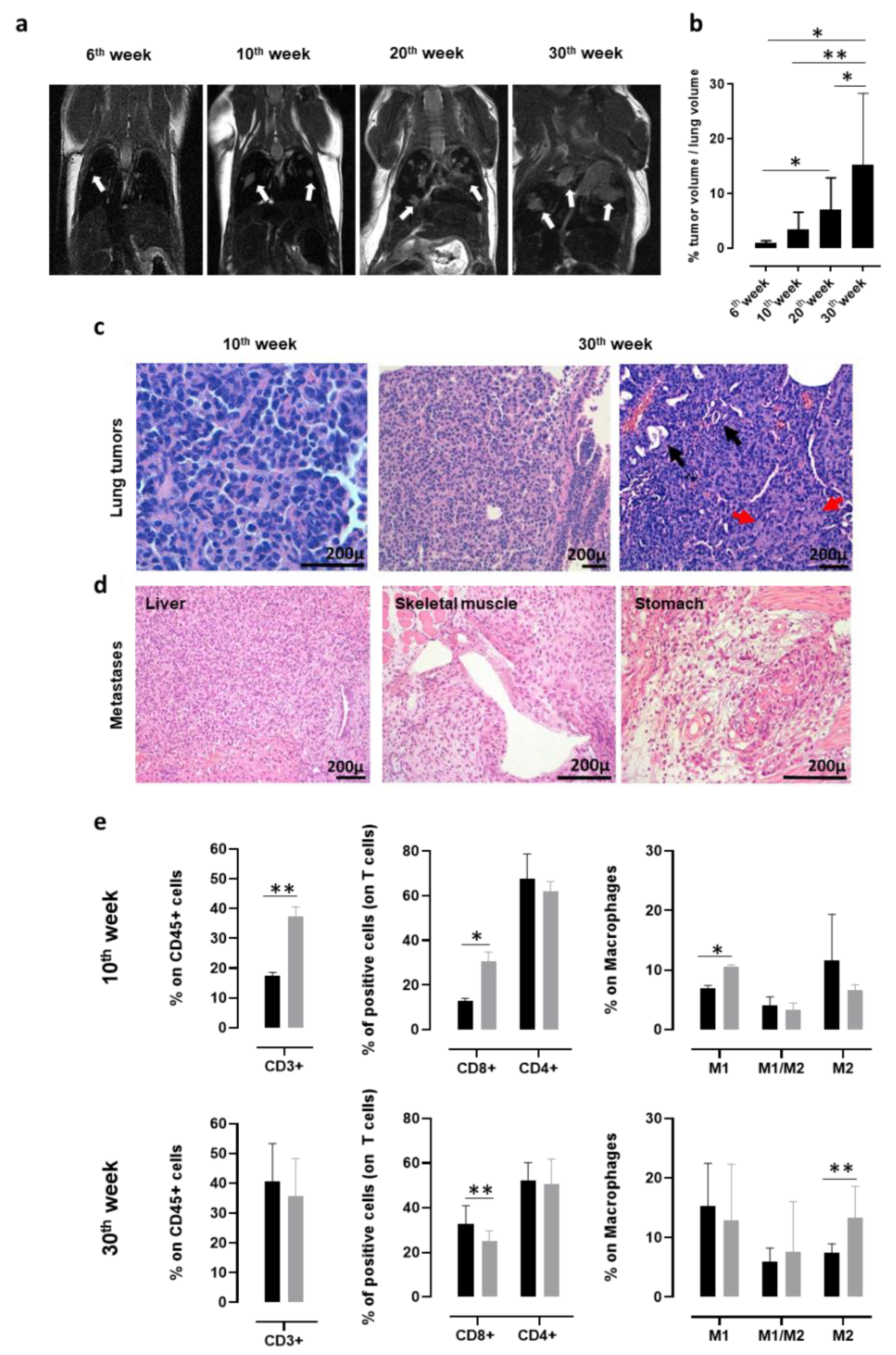 Vaccines 08 00166 g001