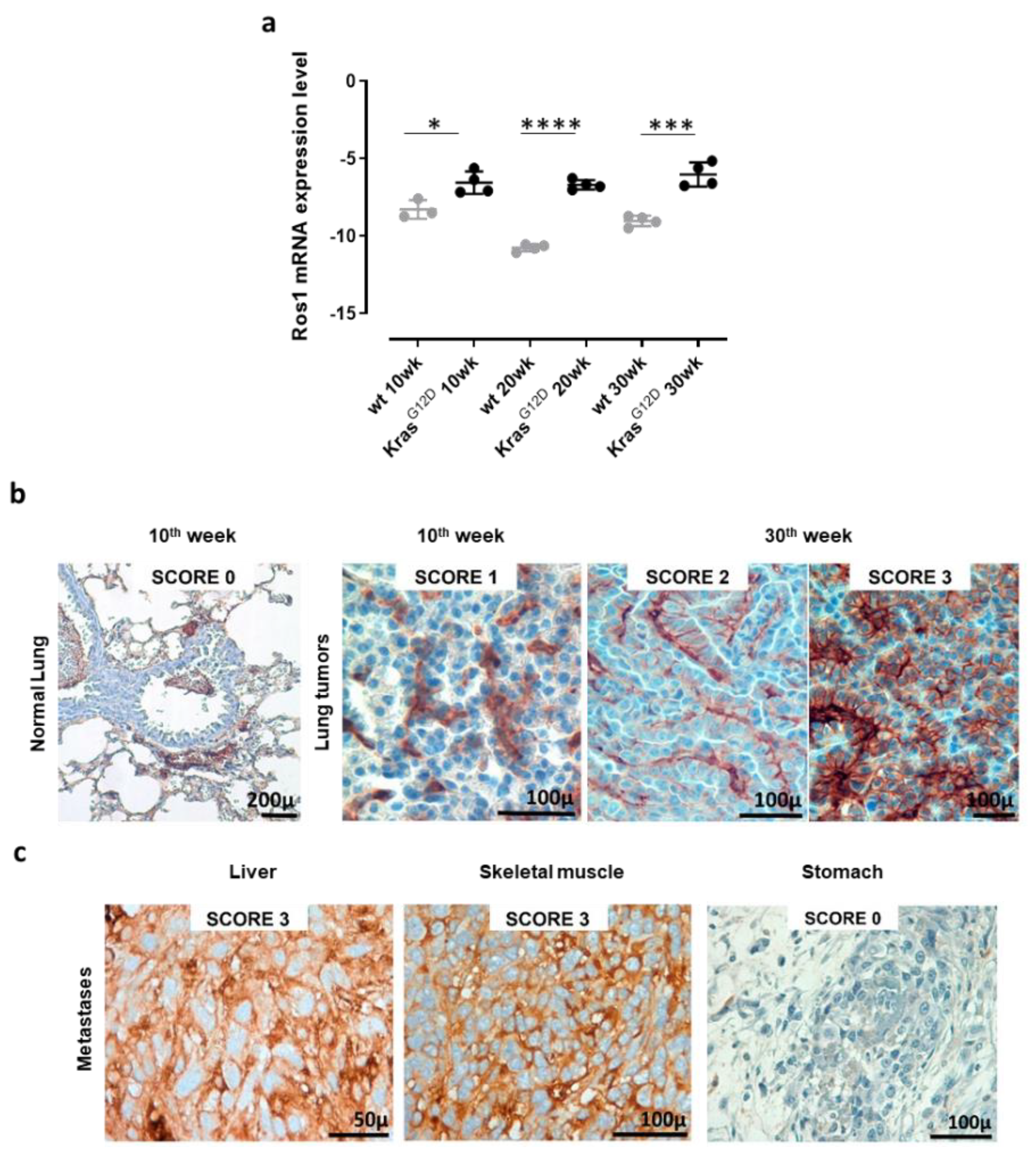 Vaccines 08 00166 g002