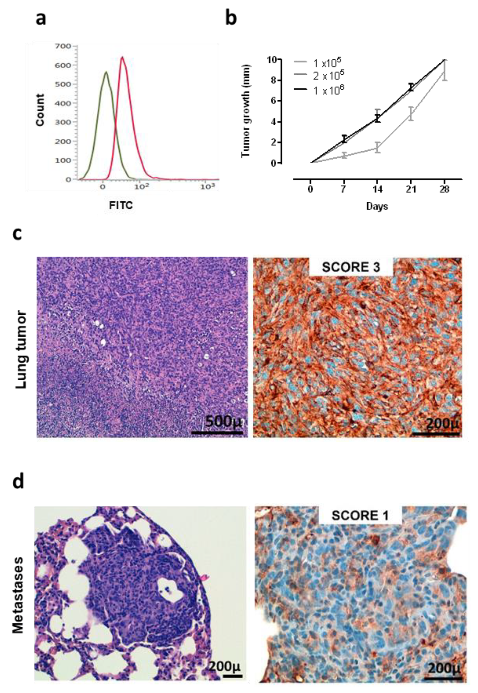Vaccines 08 00166 g003
