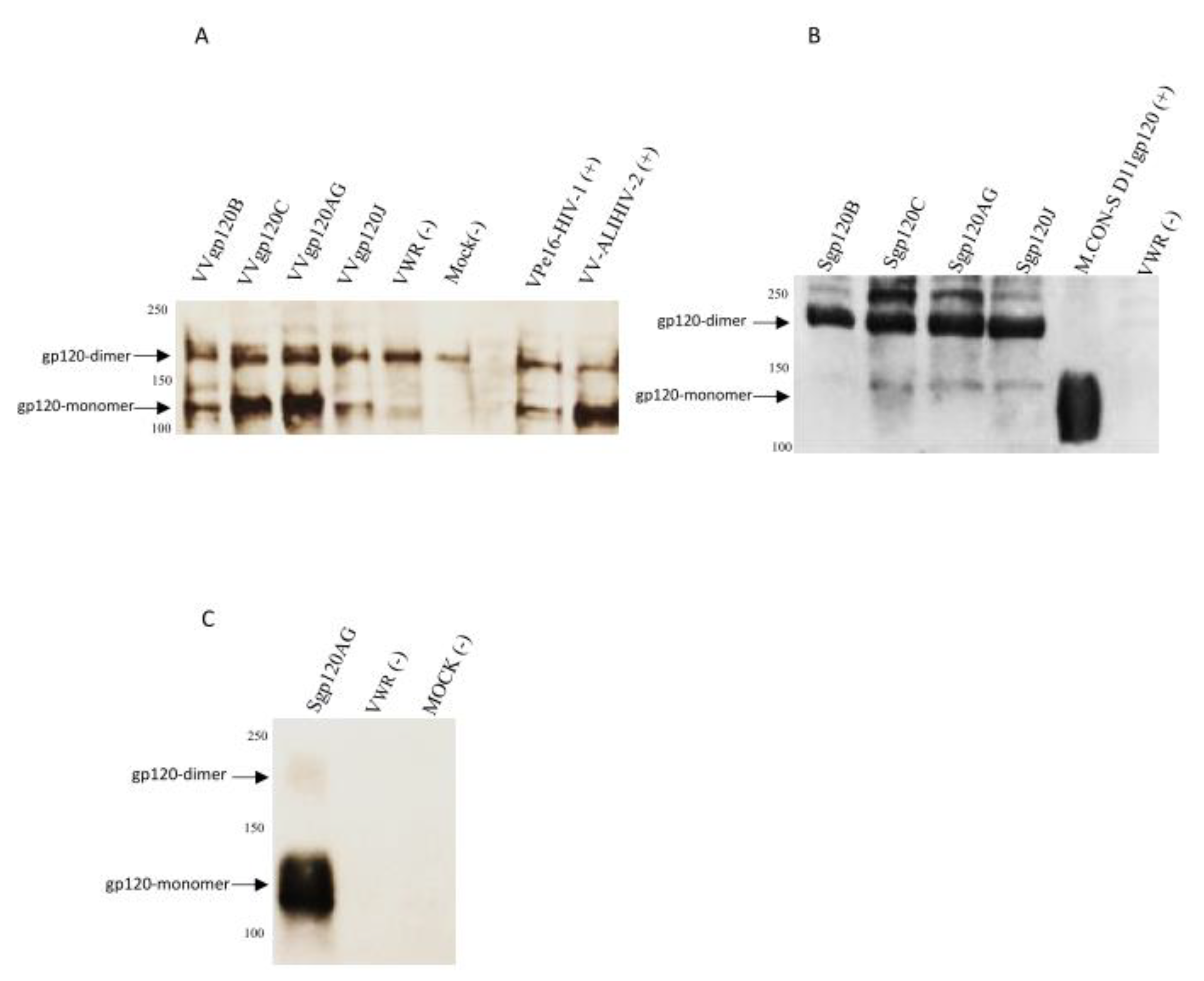 Vaccines 08 00171 g001