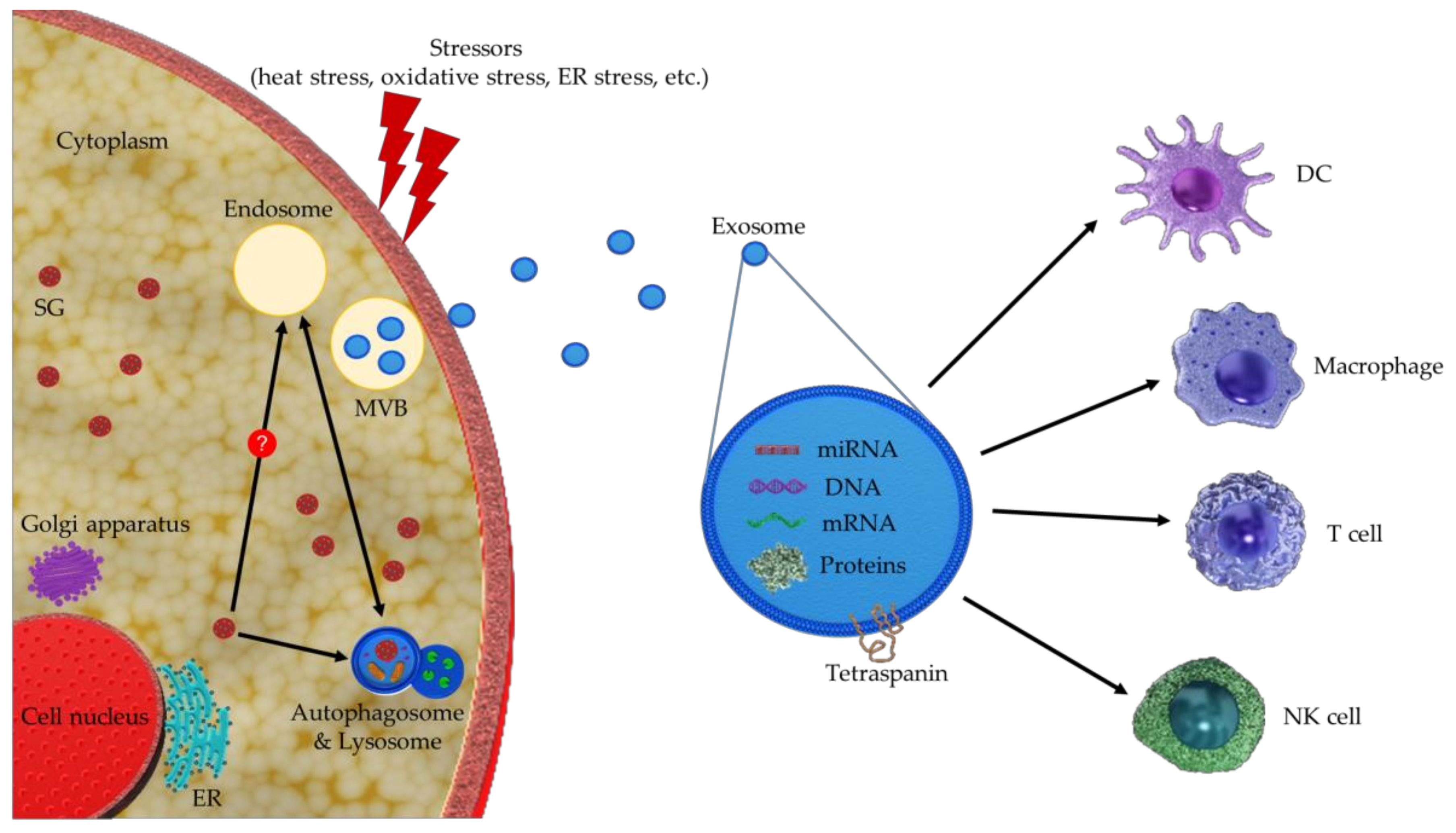 Vaccines 08 00172 g001