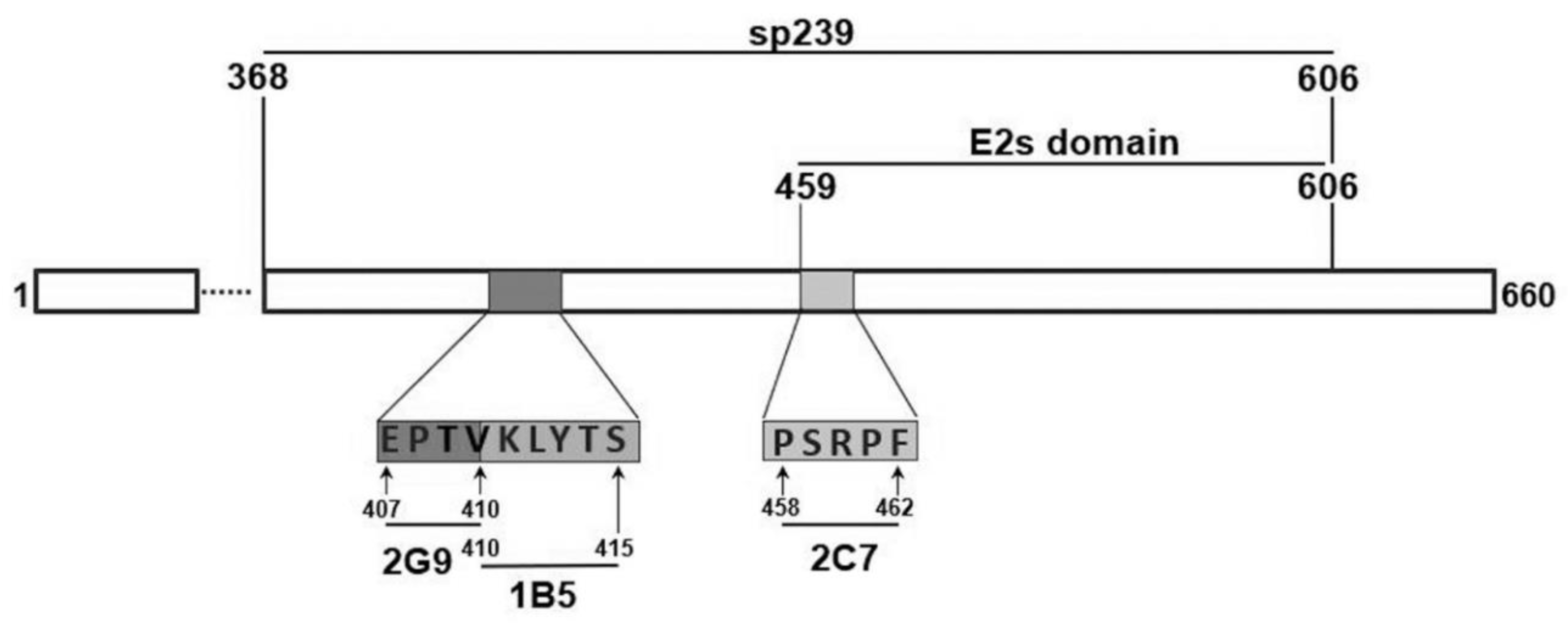 Vaccines 08 00178 g001