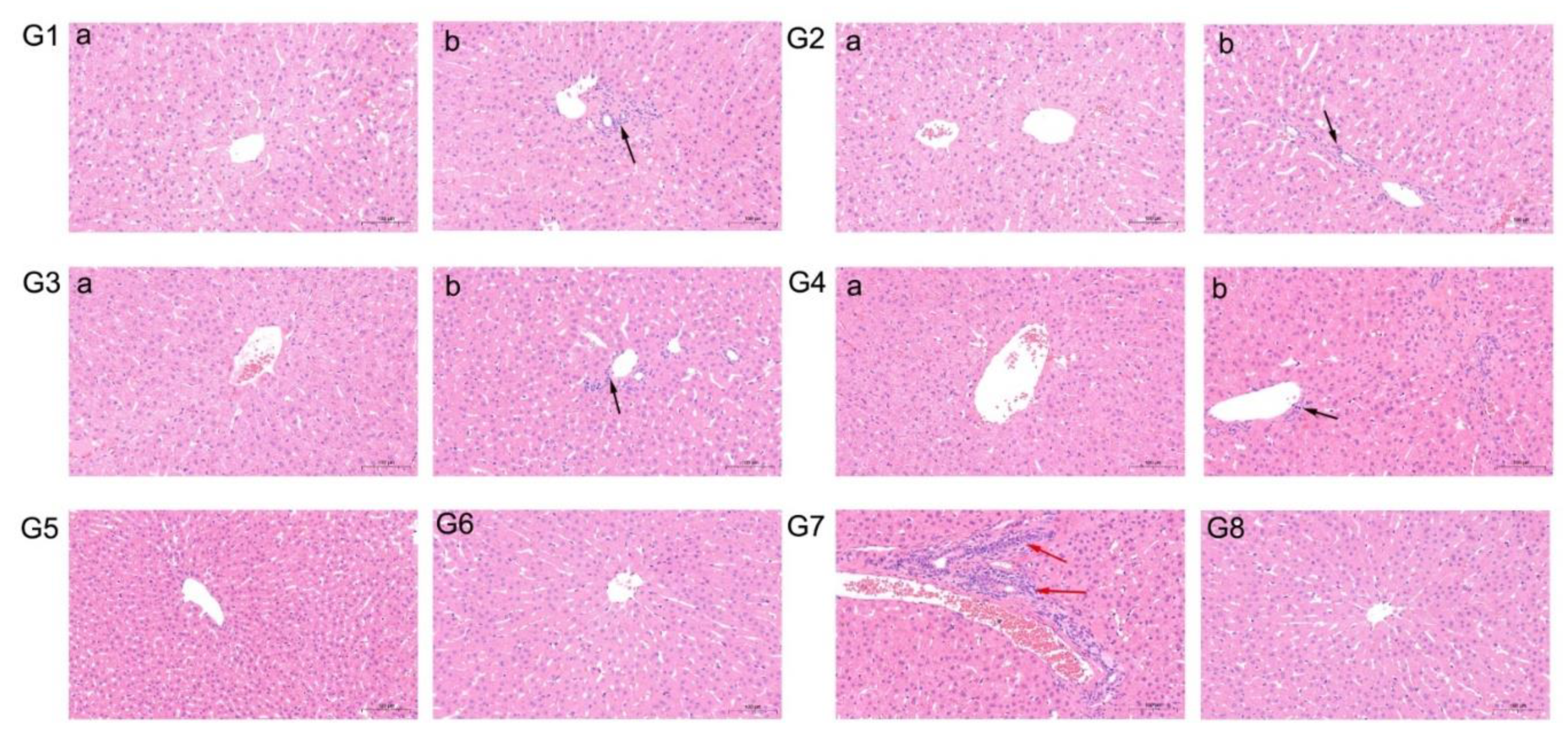 Vaccines 08 00178 g006