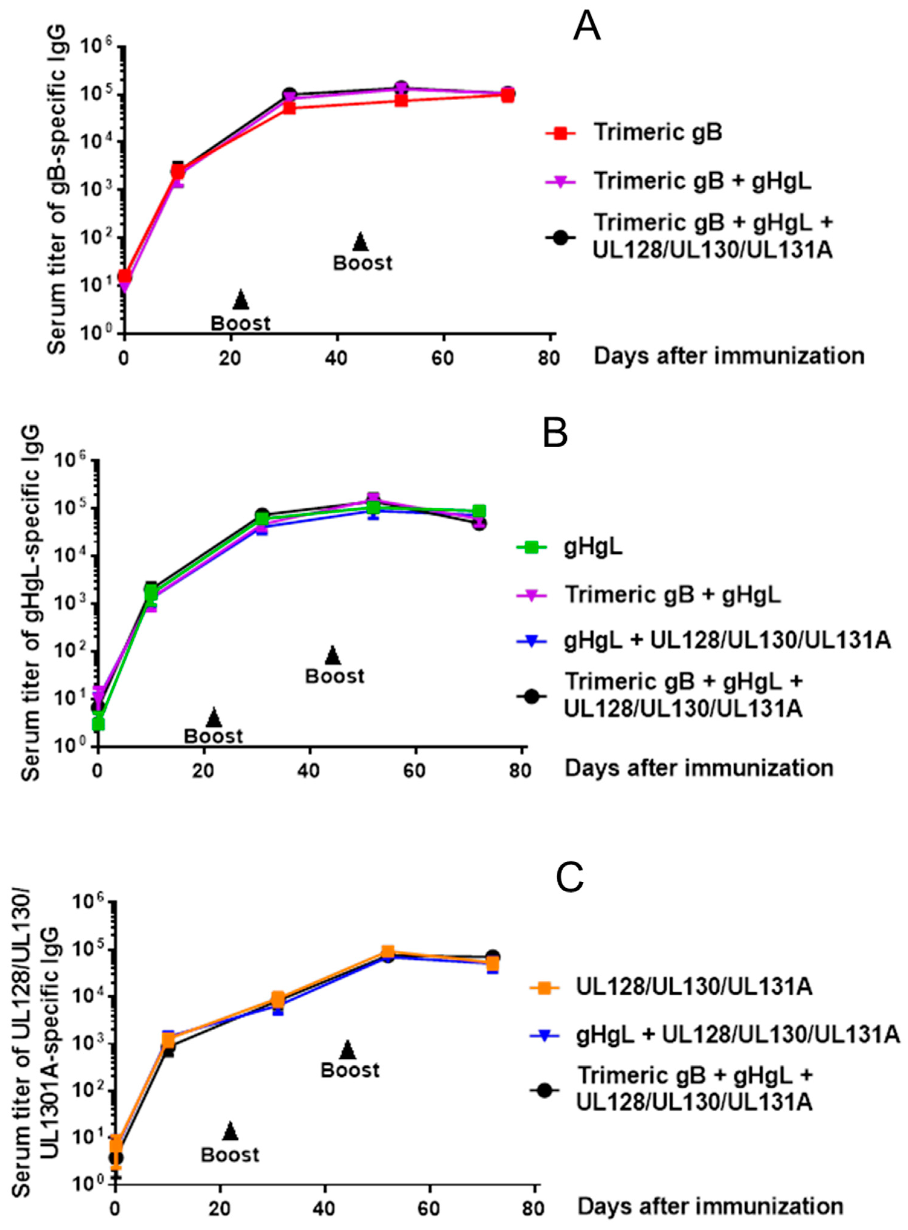 Vaccines 08 00179 g003