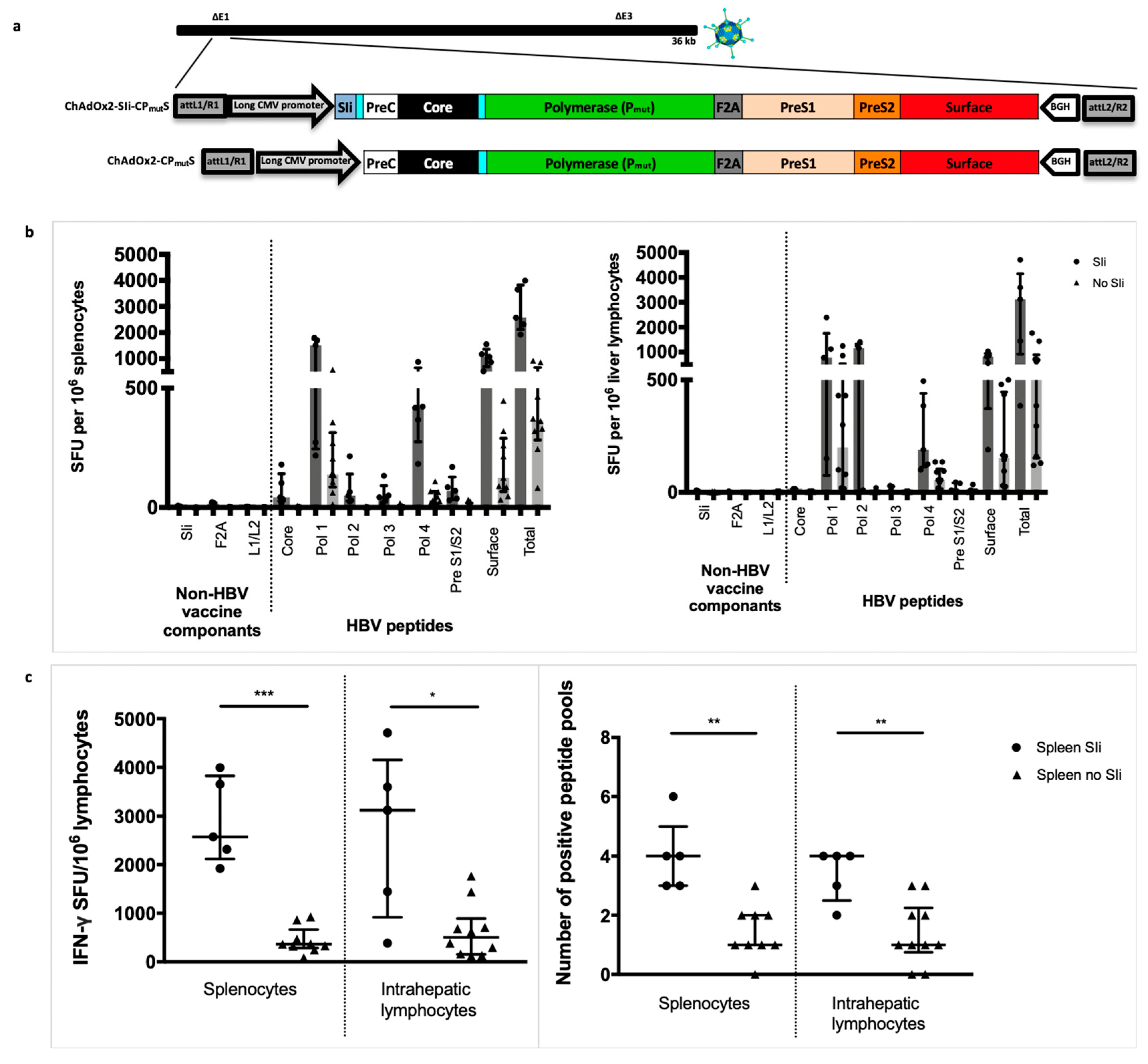 Vaccines 08 00184 g003