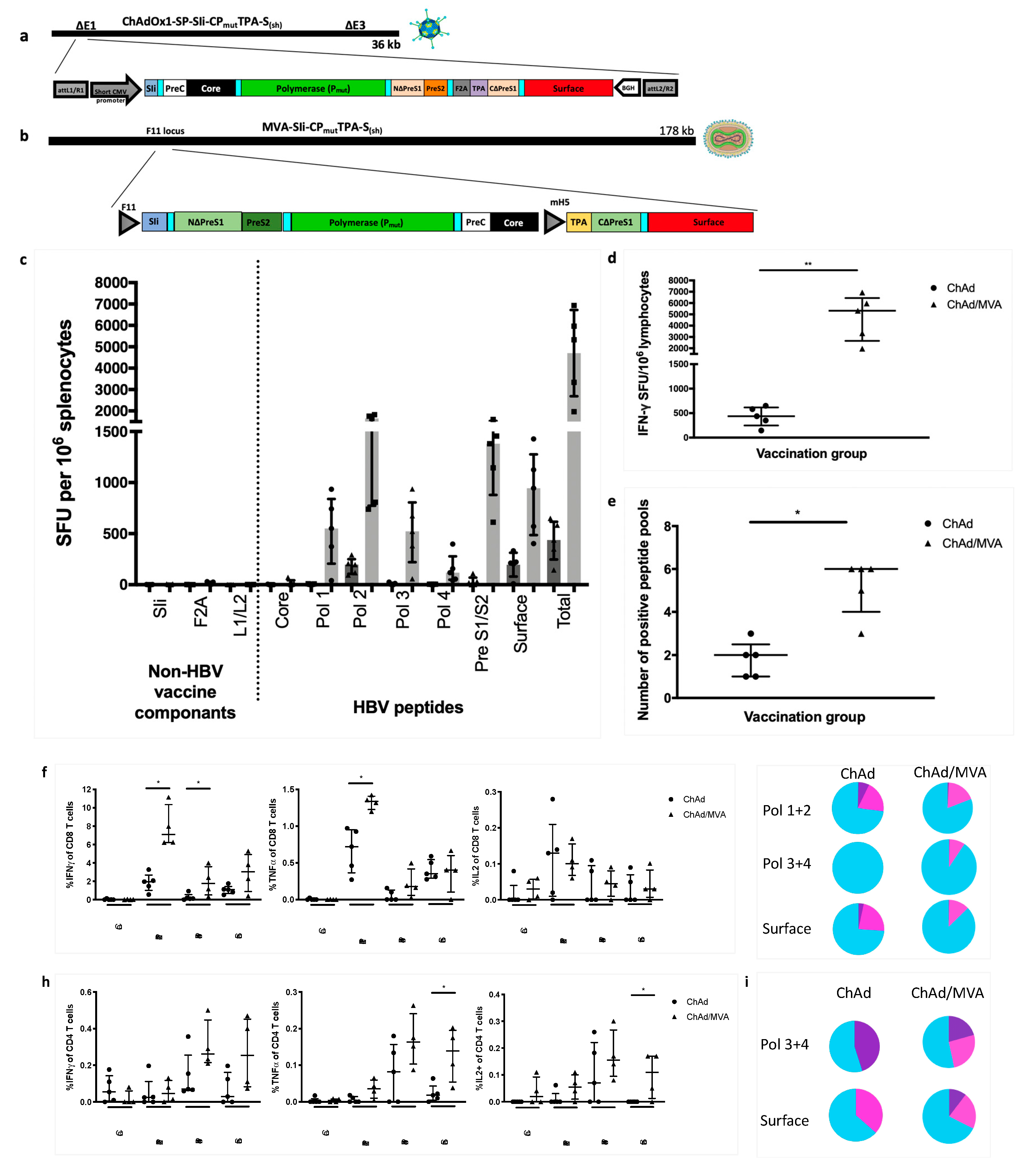 Vaccines 08 00184 g006