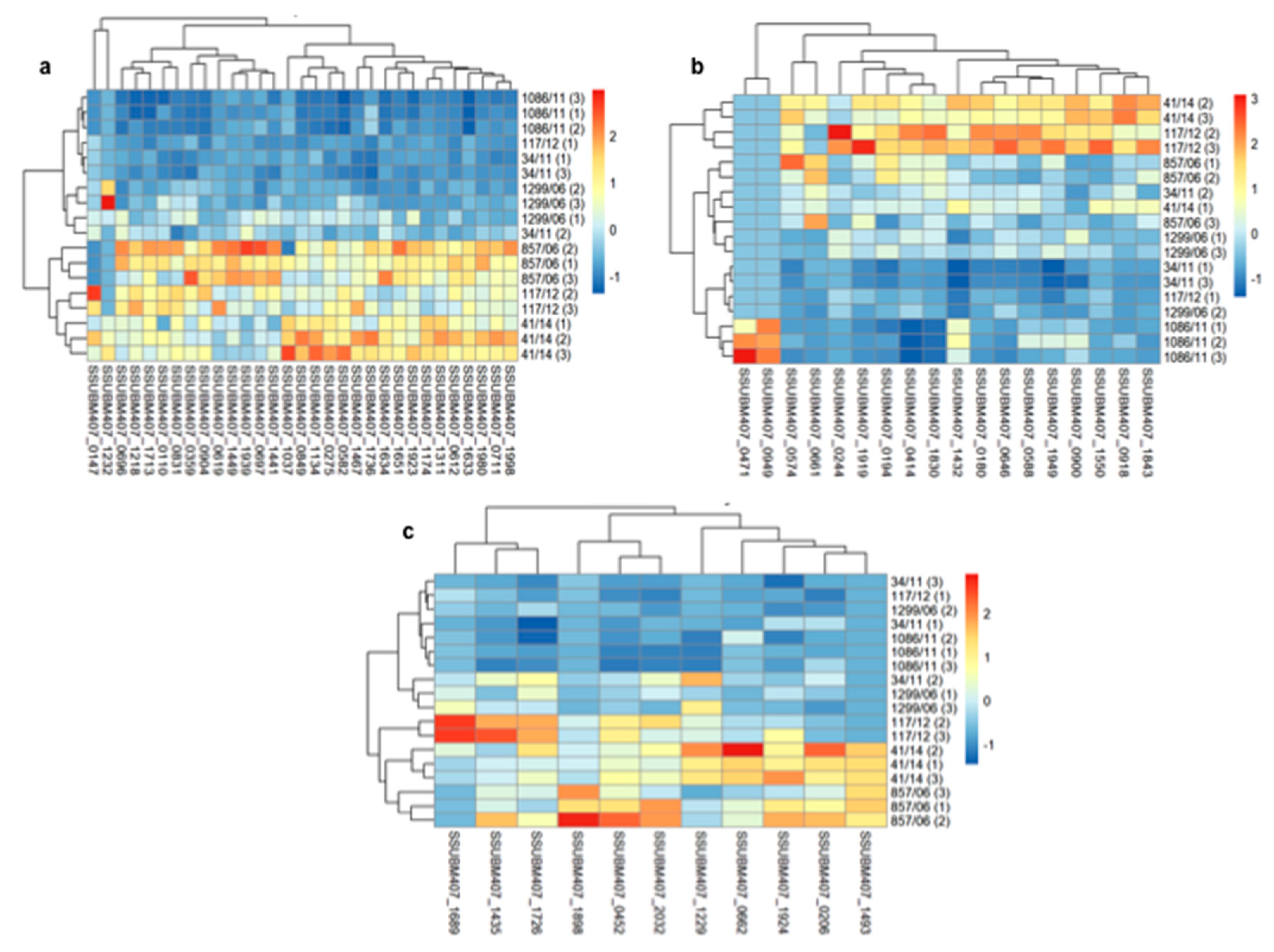Vaccines 08 00188 g002