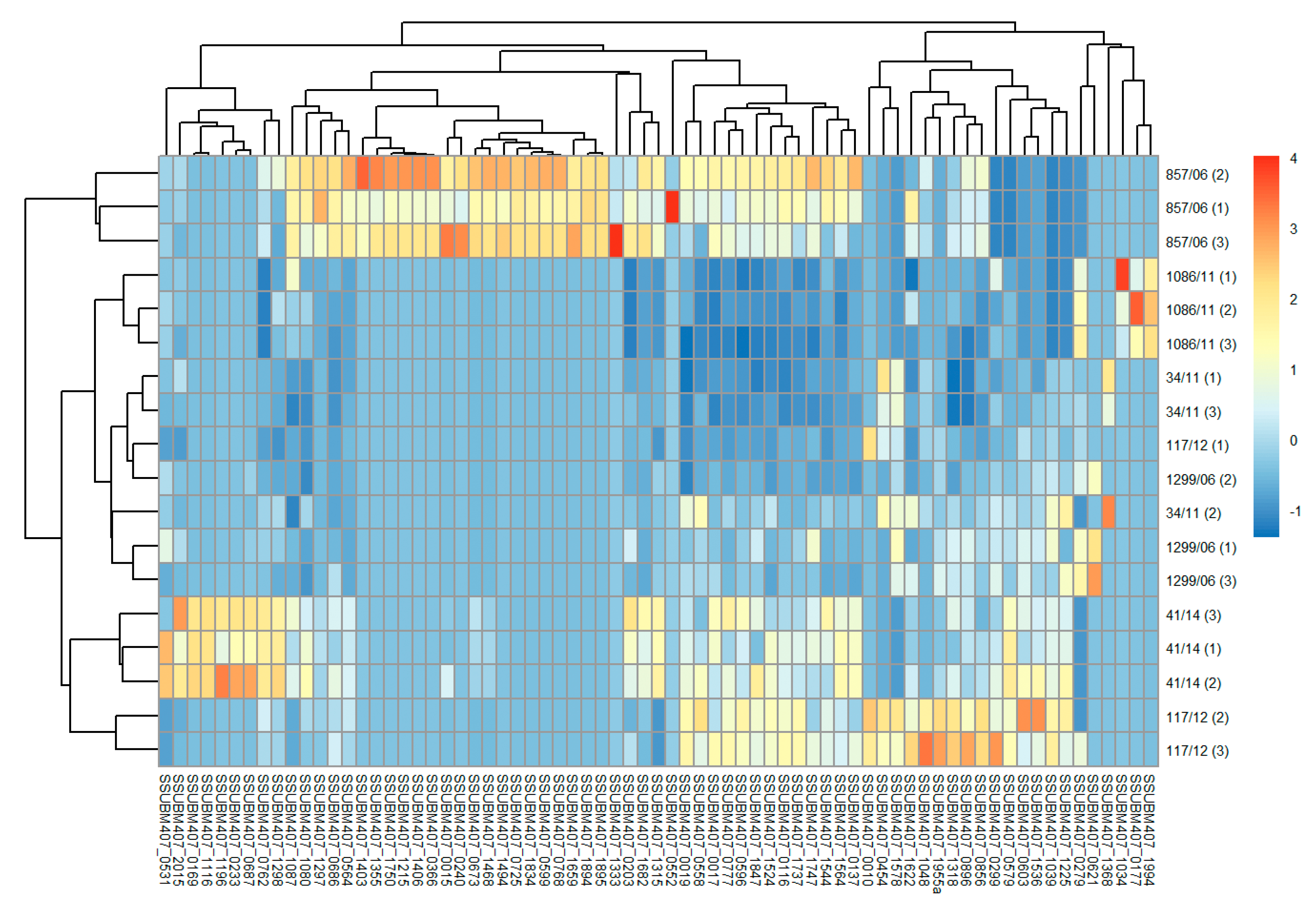 Vaccines 08 00188 g003
