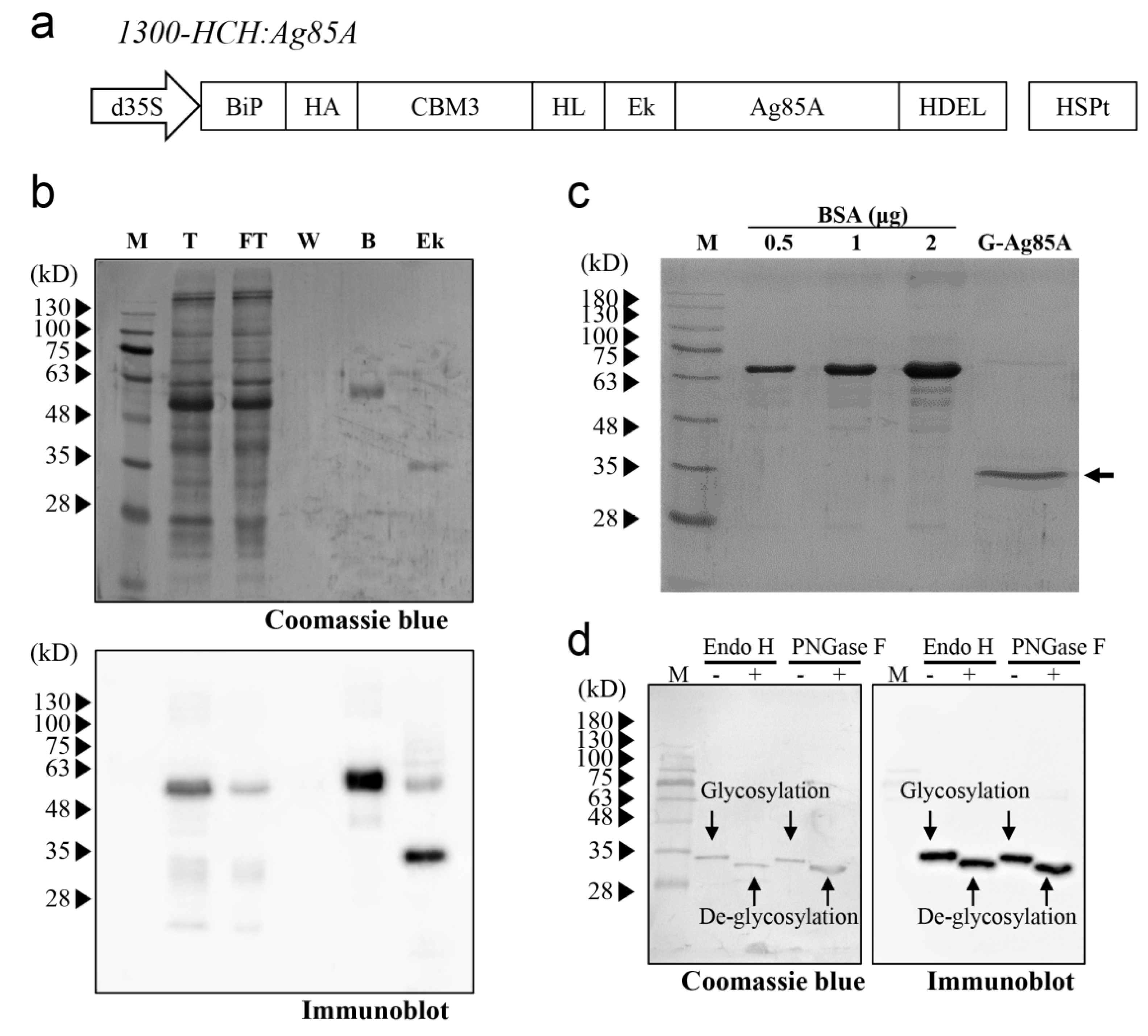 Vaccines 08 00189 g001 Vaccines 08 00189 g001