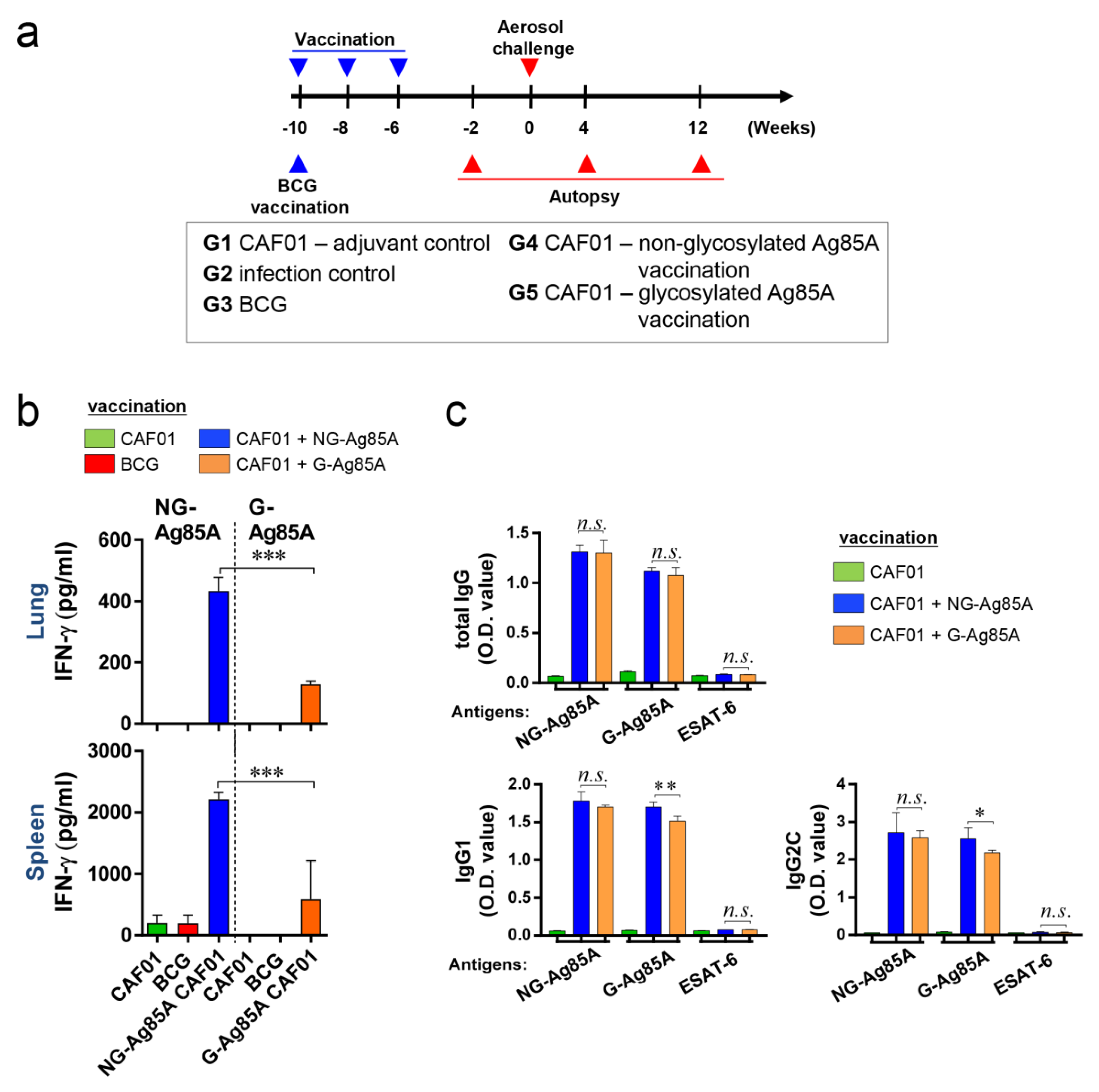 Vaccines 08 00189 g003 Vaccines 08 00189 g003