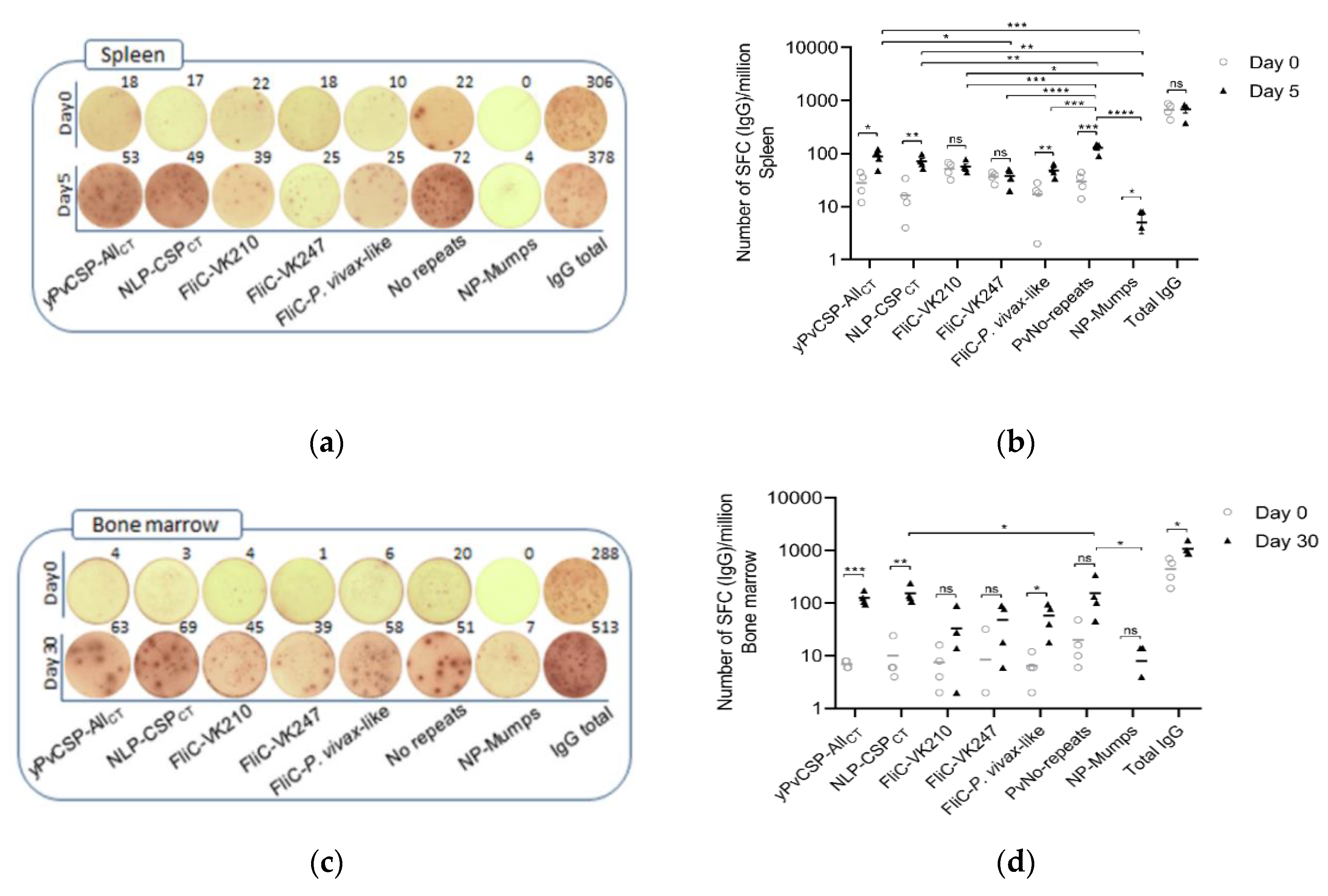 Vaccines 08 00190 g005a