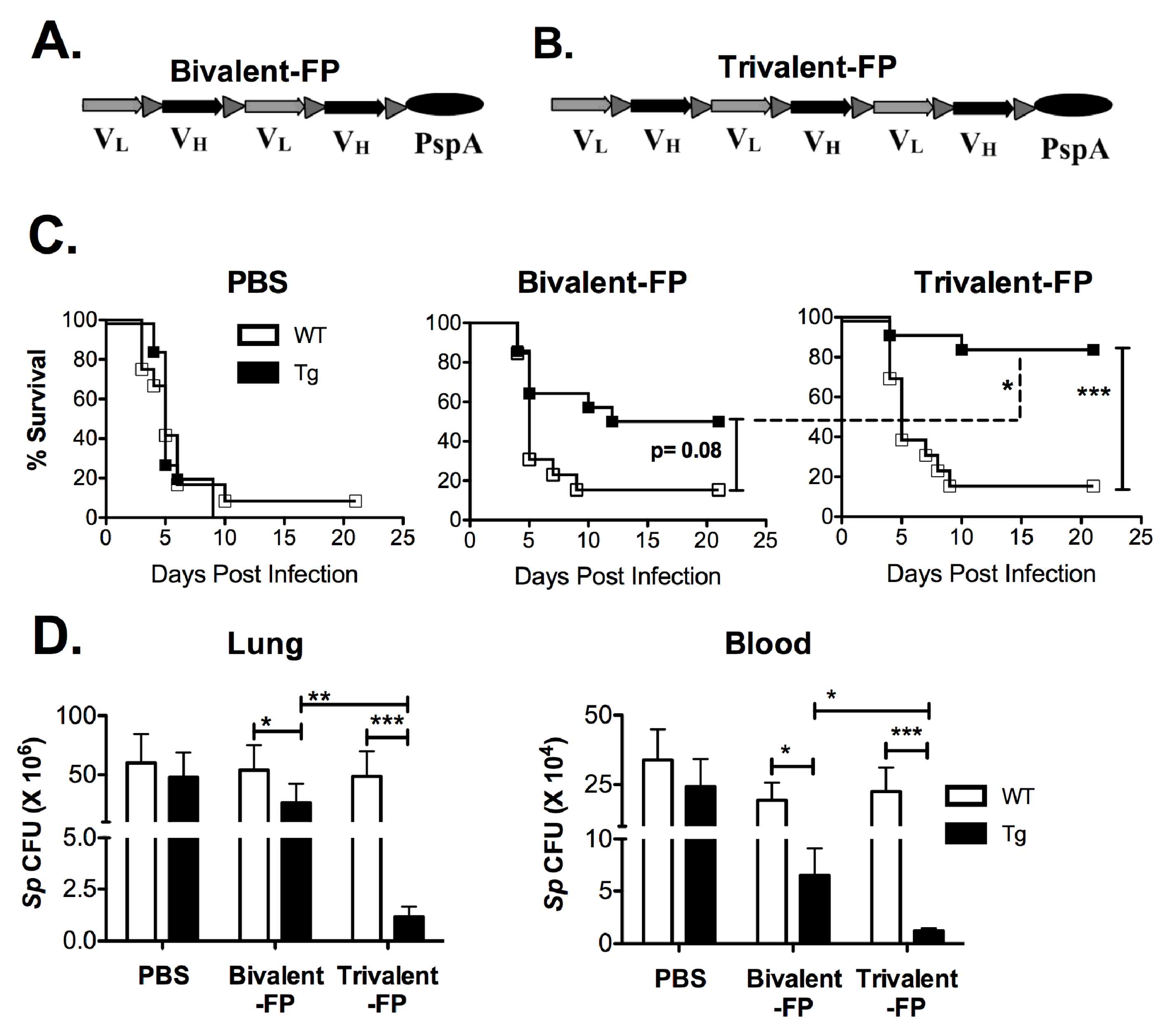 Vaccines 08 00193 g001