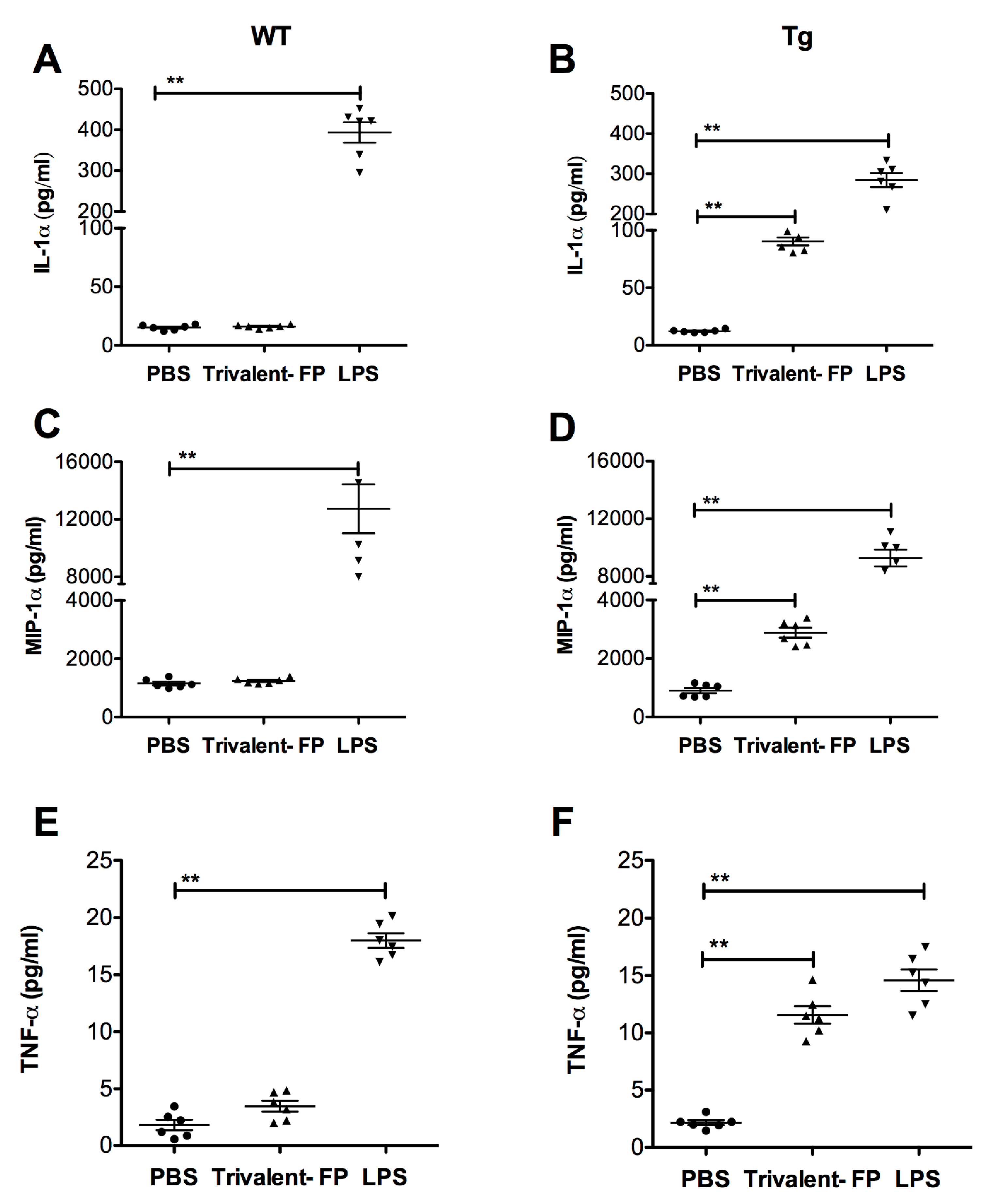 Vaccines 08 00193 g006