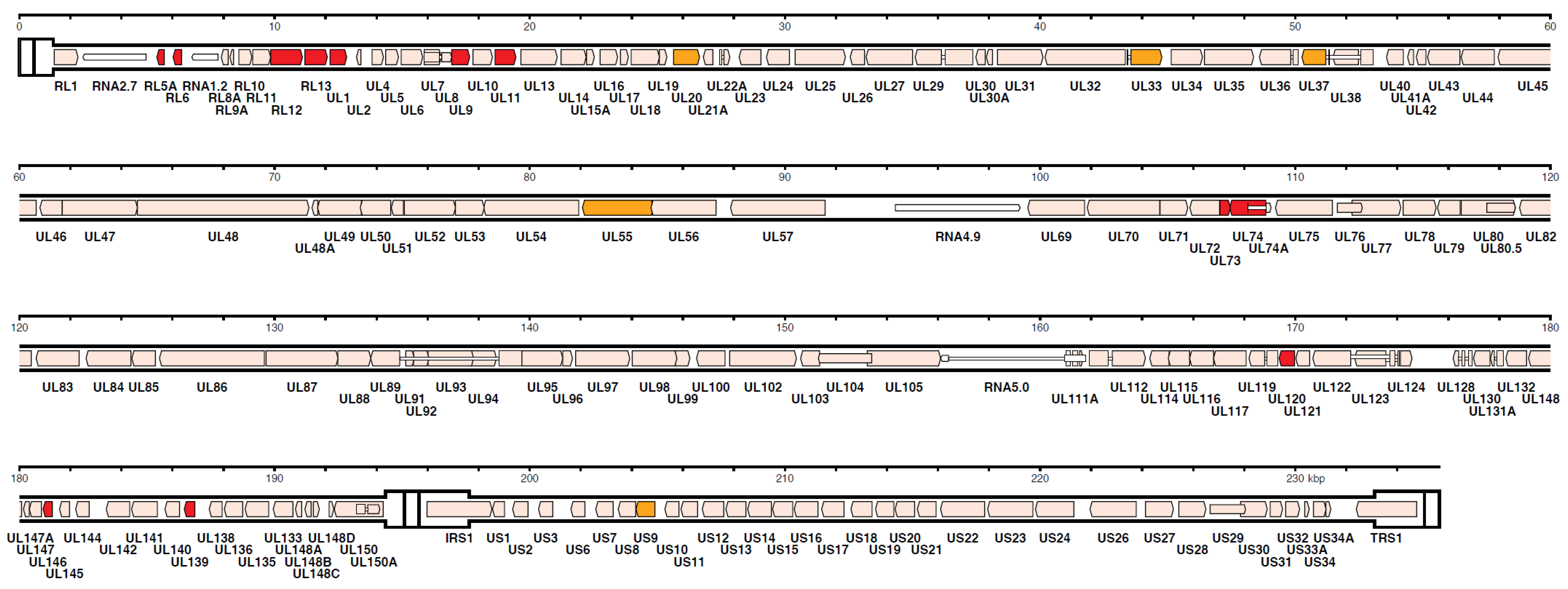 Vaccines 08 00194 g003