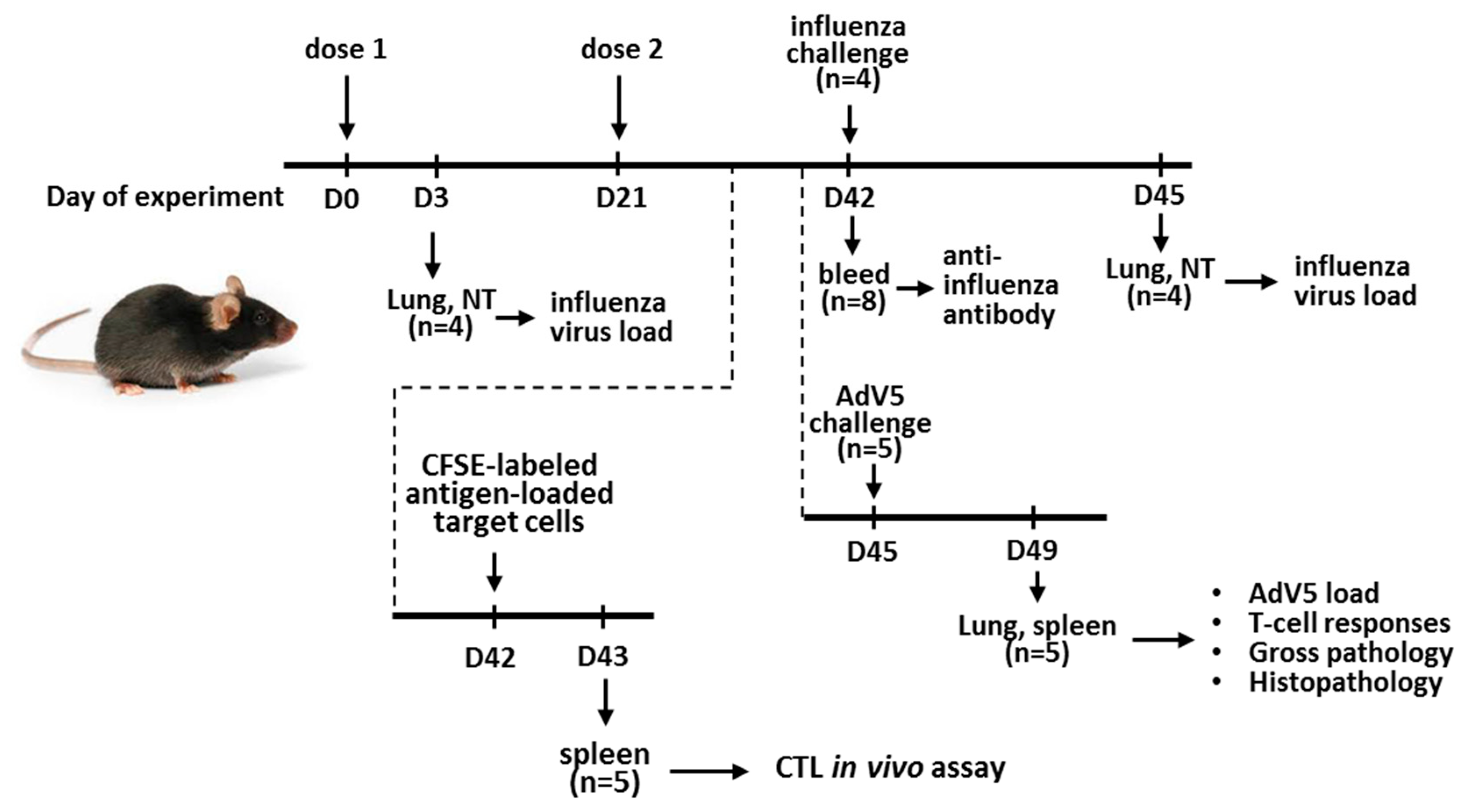 Vaccines 08 00196 g001