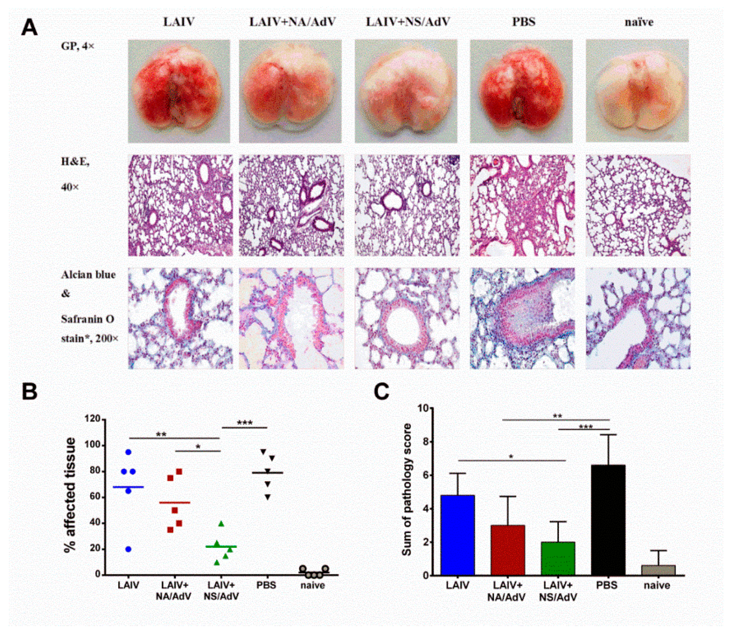 Vaccines 08 00196 g009